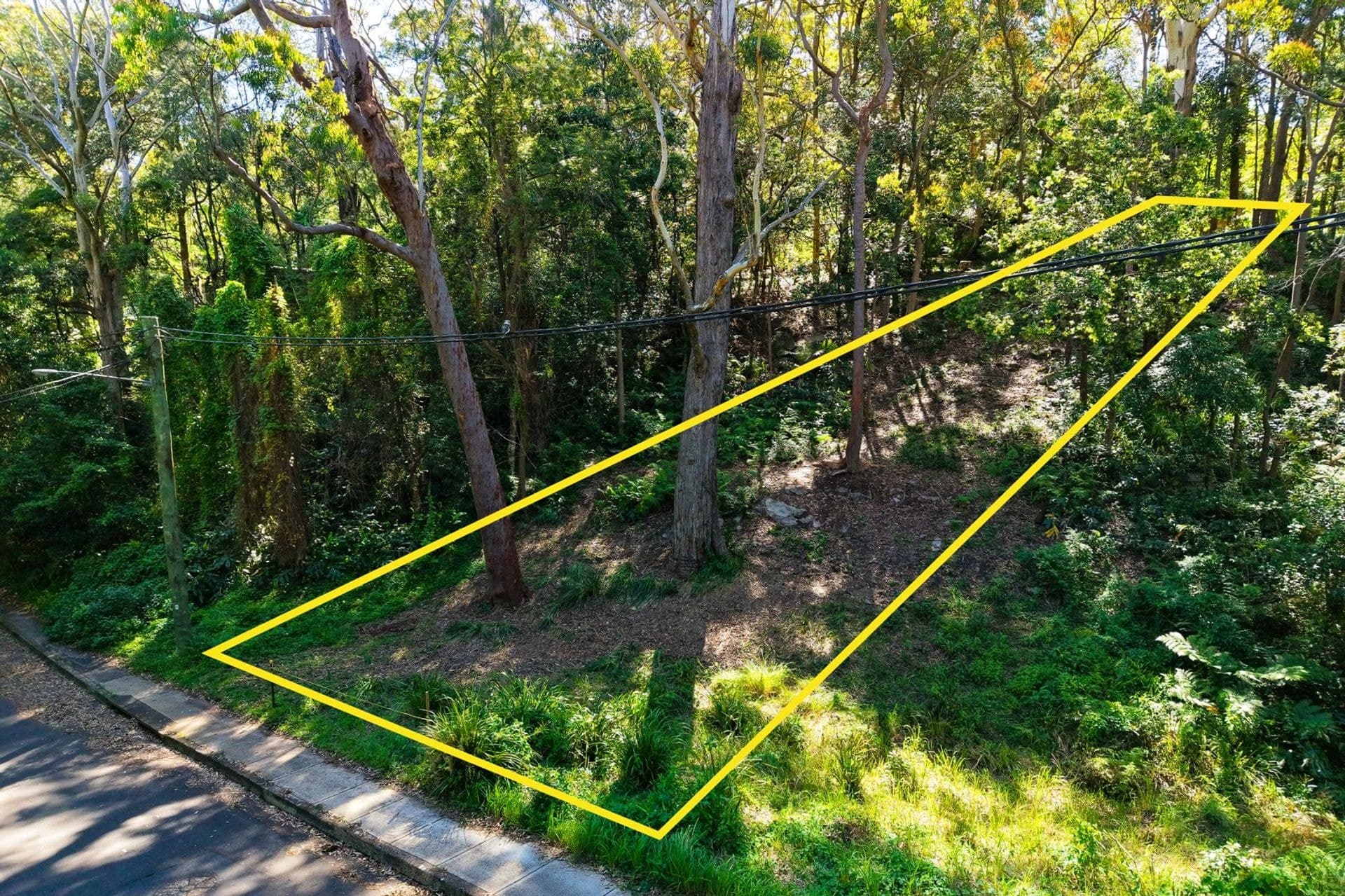 49 Finlay Road, Warrawee, NSW, 2074, Warrawee - Thumbnail 3