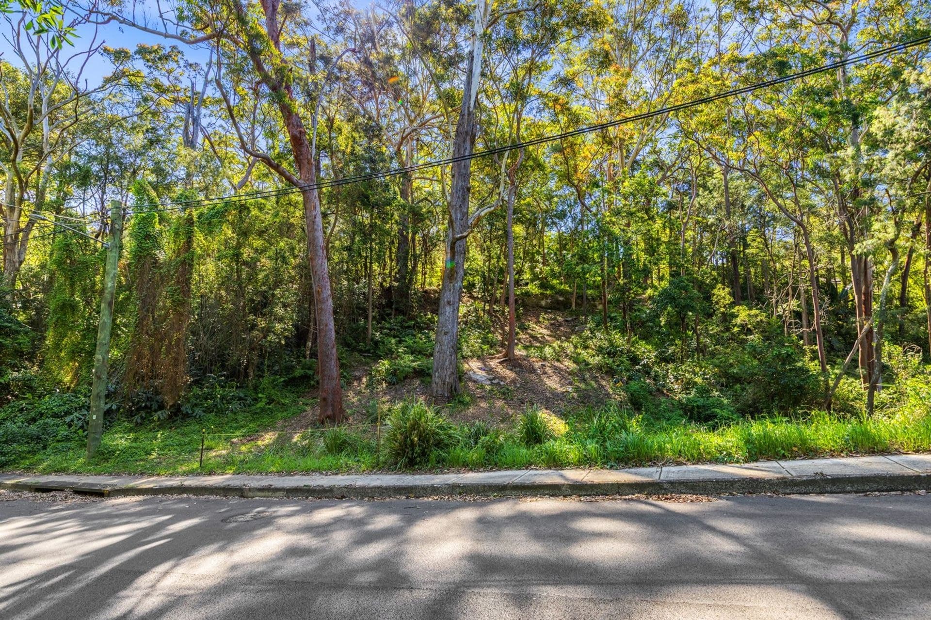 49 Finlay Road, Warrawee, NSW, 2074, Warrawee - Thumbnail 4