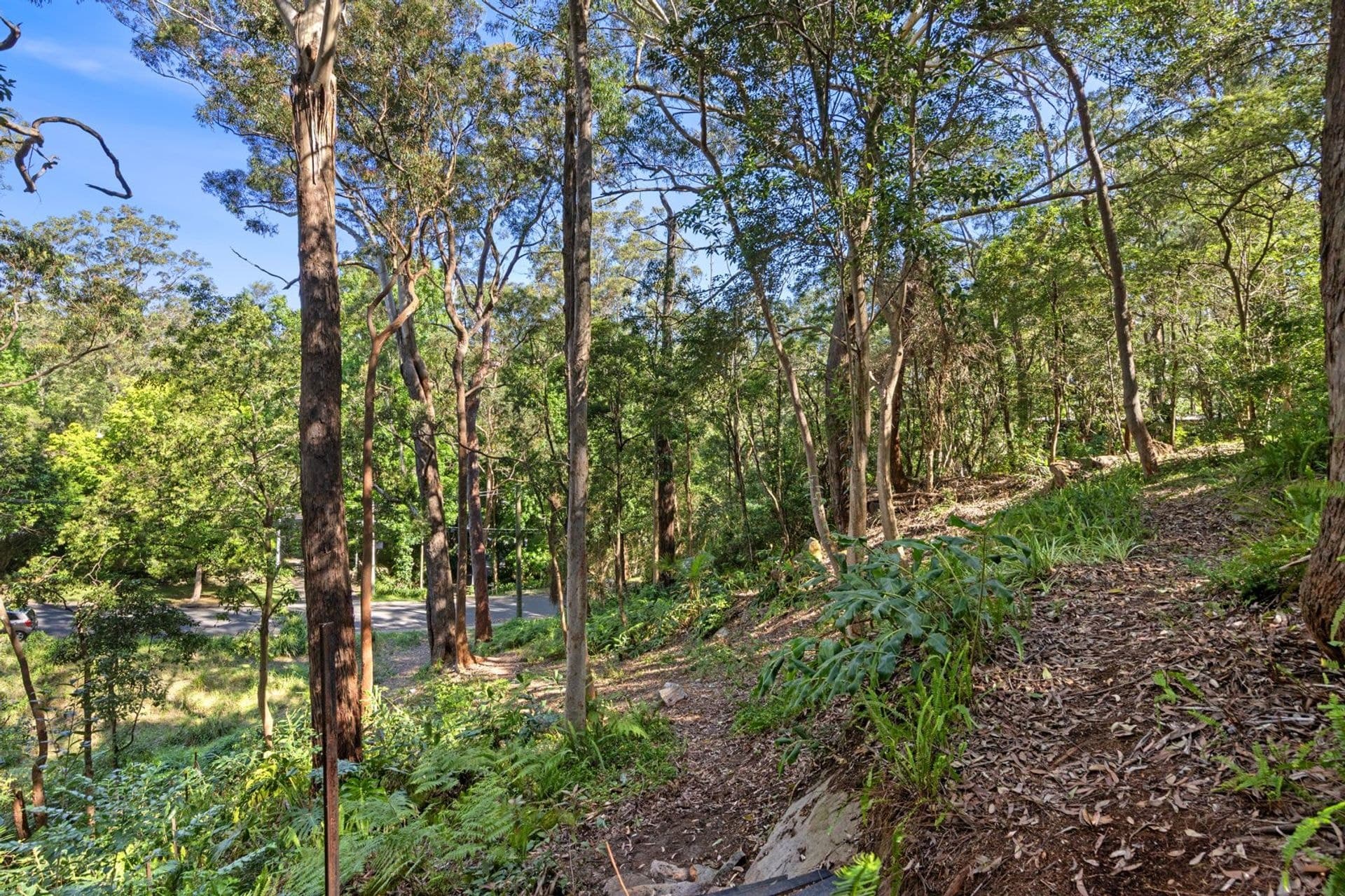 49 Finlay Road, Warrawee, NSW, 2074, Warrawee - Thumbnail 7