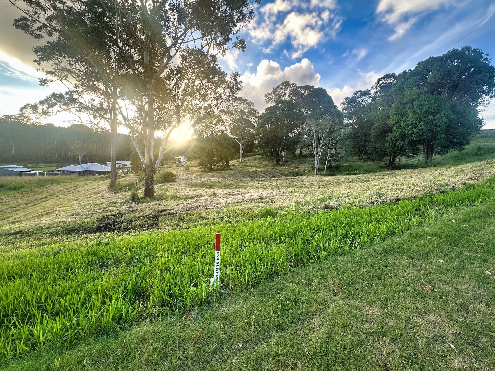 116 Thrushs Road, Dulong, QLD, 4560, Dulong - Thumbnail 8