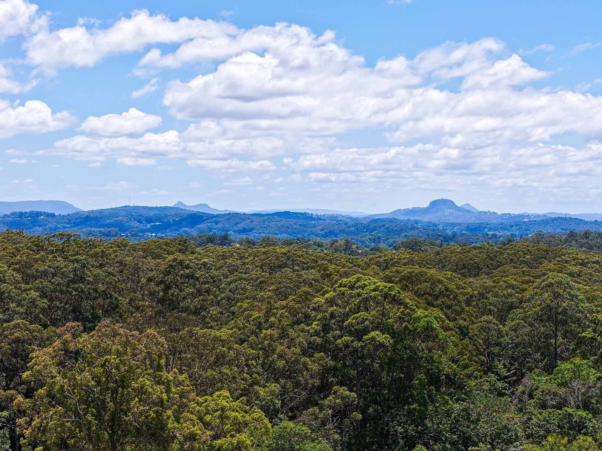 1/8 King Street, Buderim, QLD, 4556, Buderim - Thumbnail 2