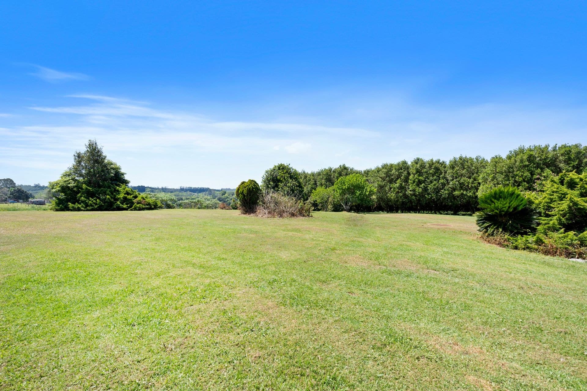 Address Withheld, Tregeagle, NSW, 2480, Tregeagle - Thumbnail 6
