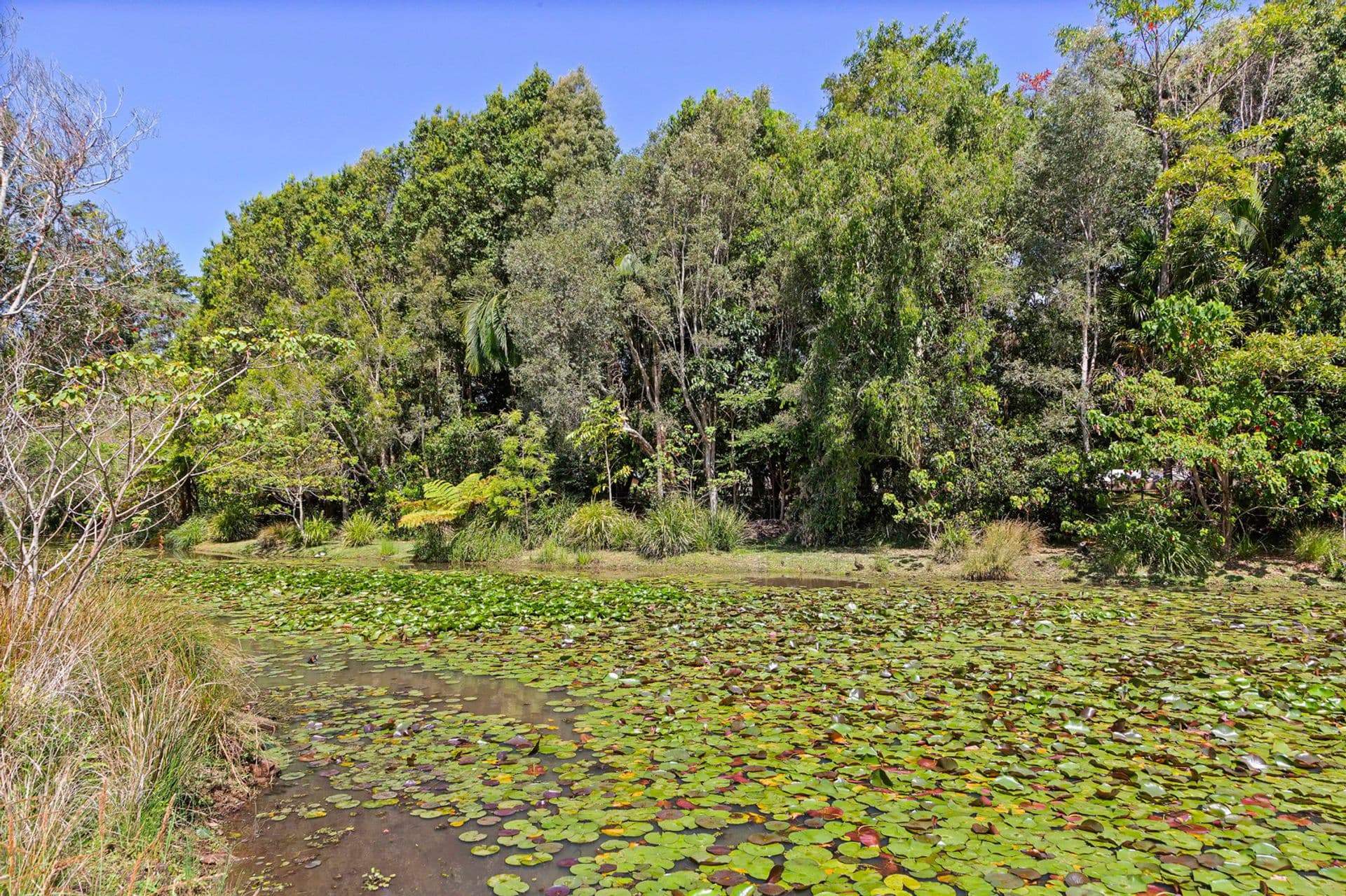 24 Warruga Street, Mapleton, QLD, 4560, Mapleton - Thumbnail 7