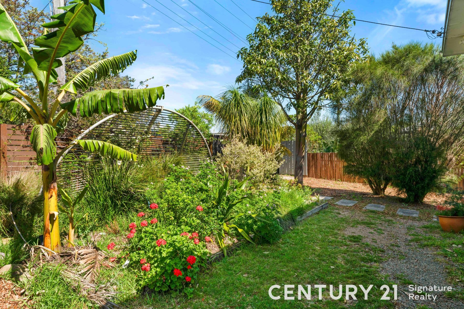 97 Moss Street, Nowra, NSW, 2541, Nowra - Thumbnail 3