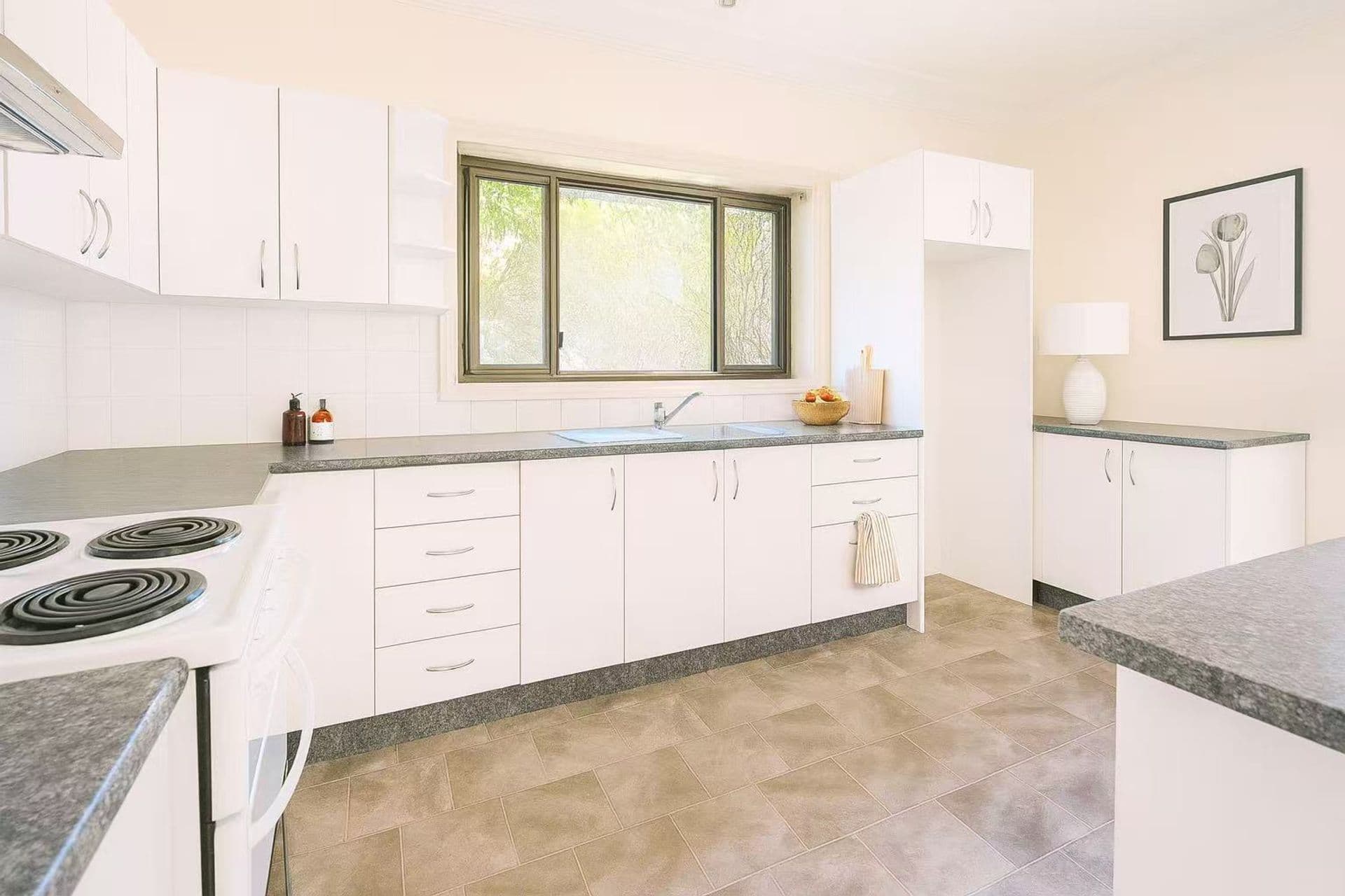 244 King Georges Road, Roselands, NSW, 2196, Roselands - Thumbnail 5