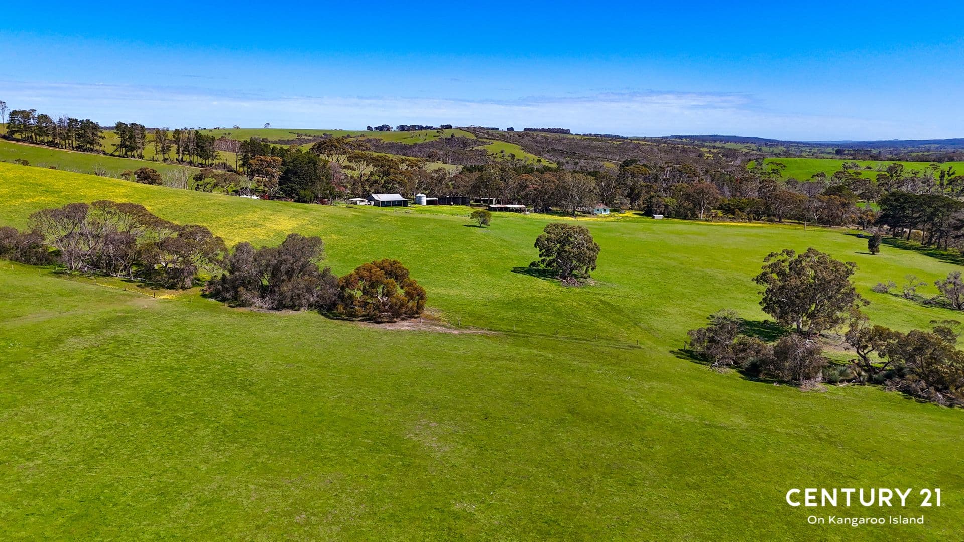 2265 Playford Highway, Kohinoor, SA, 5223, Kohinoor - Image 1