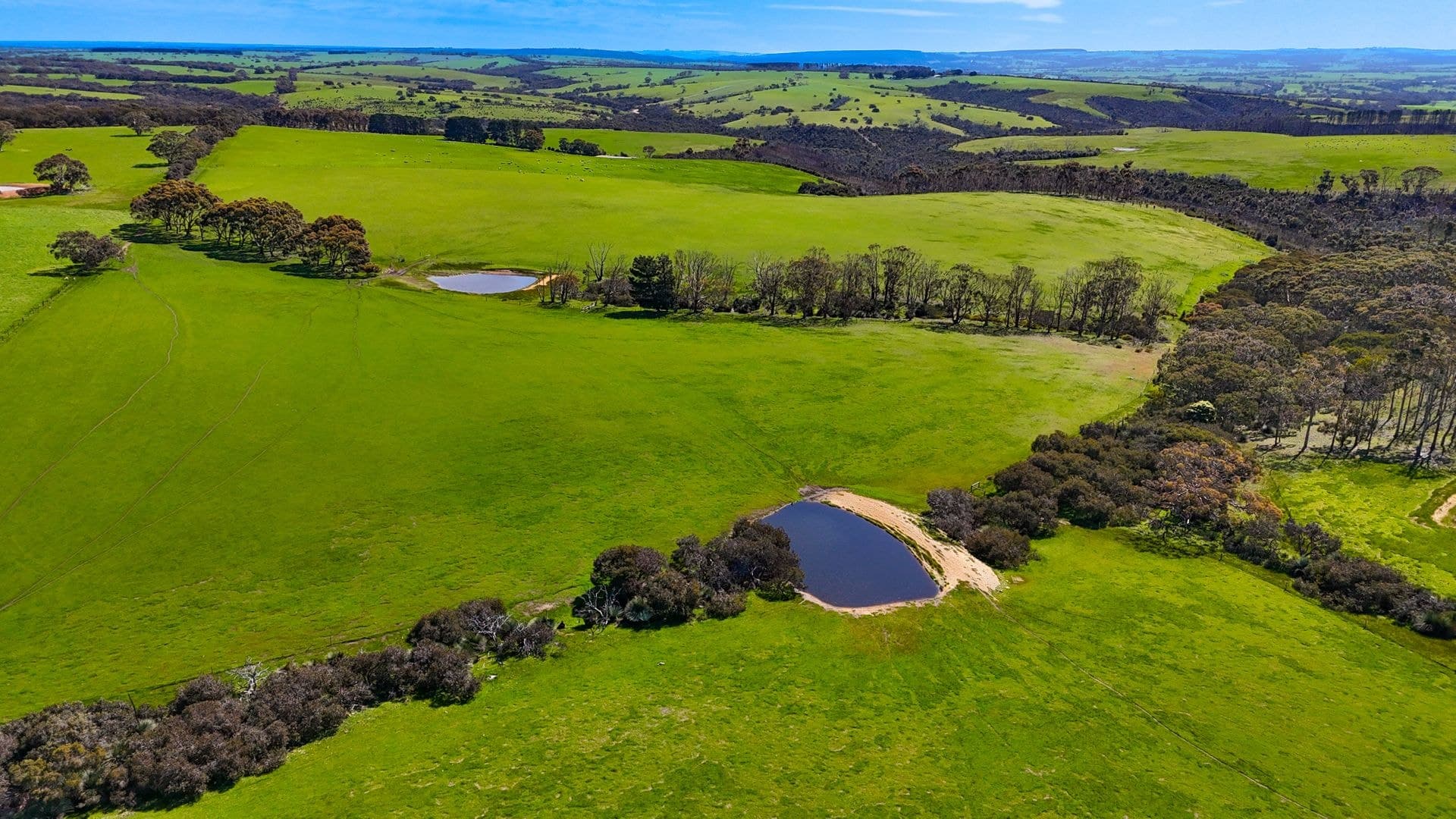 2265 Playford Highway, Kohinoor, SA, 5223, Kohinoor - Thumbnail 3