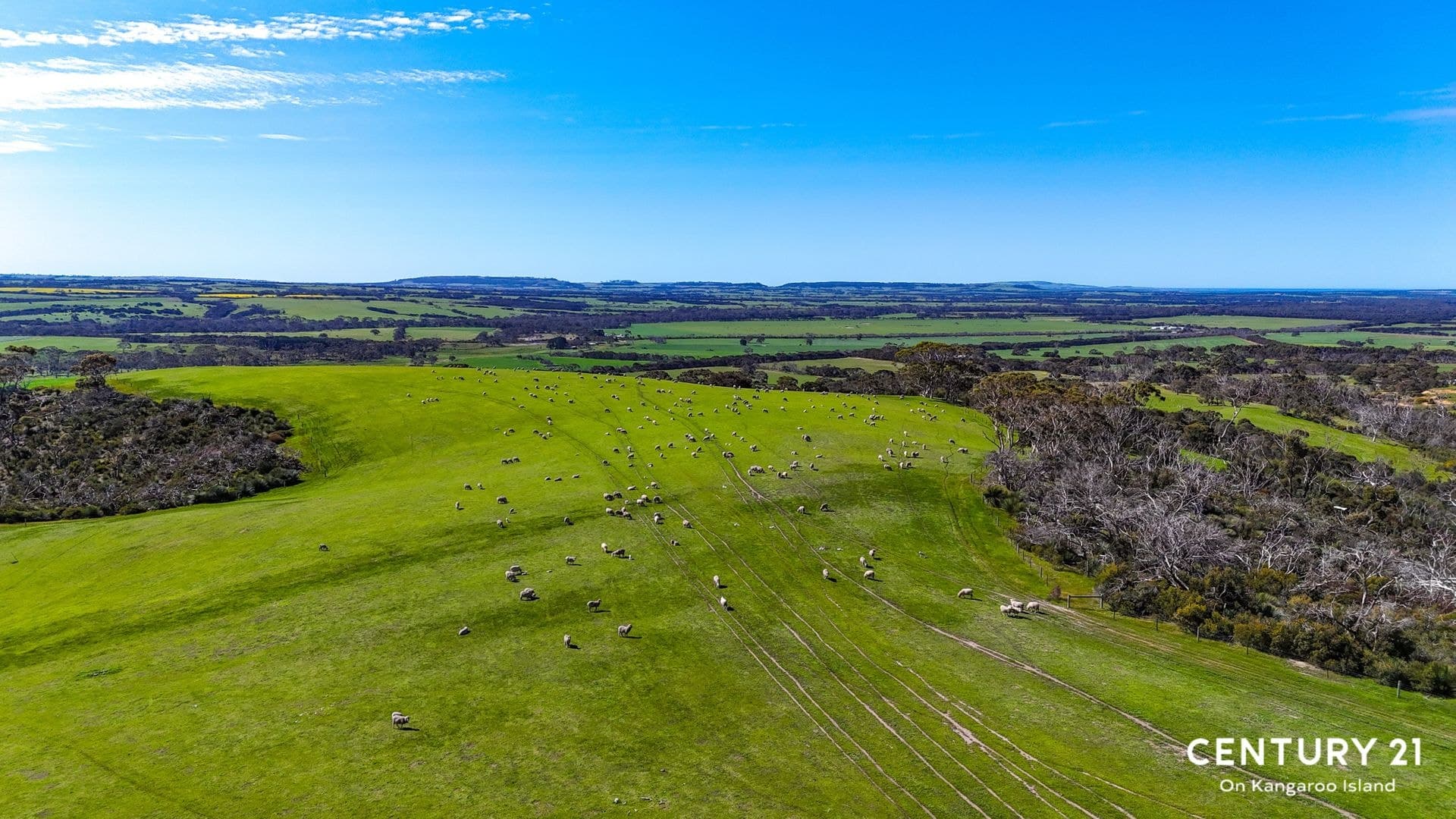 2265 Playford Highway, Kohinoor, SA, 5223, Kohinoor - Thumbnail 4