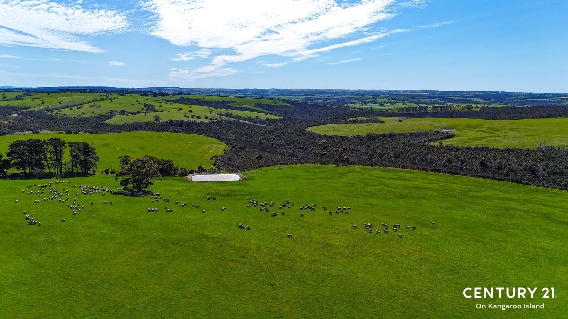 2265 Playford Highway, Kohinoor, SA, 5223, Kohinoor - Thumbnail 6