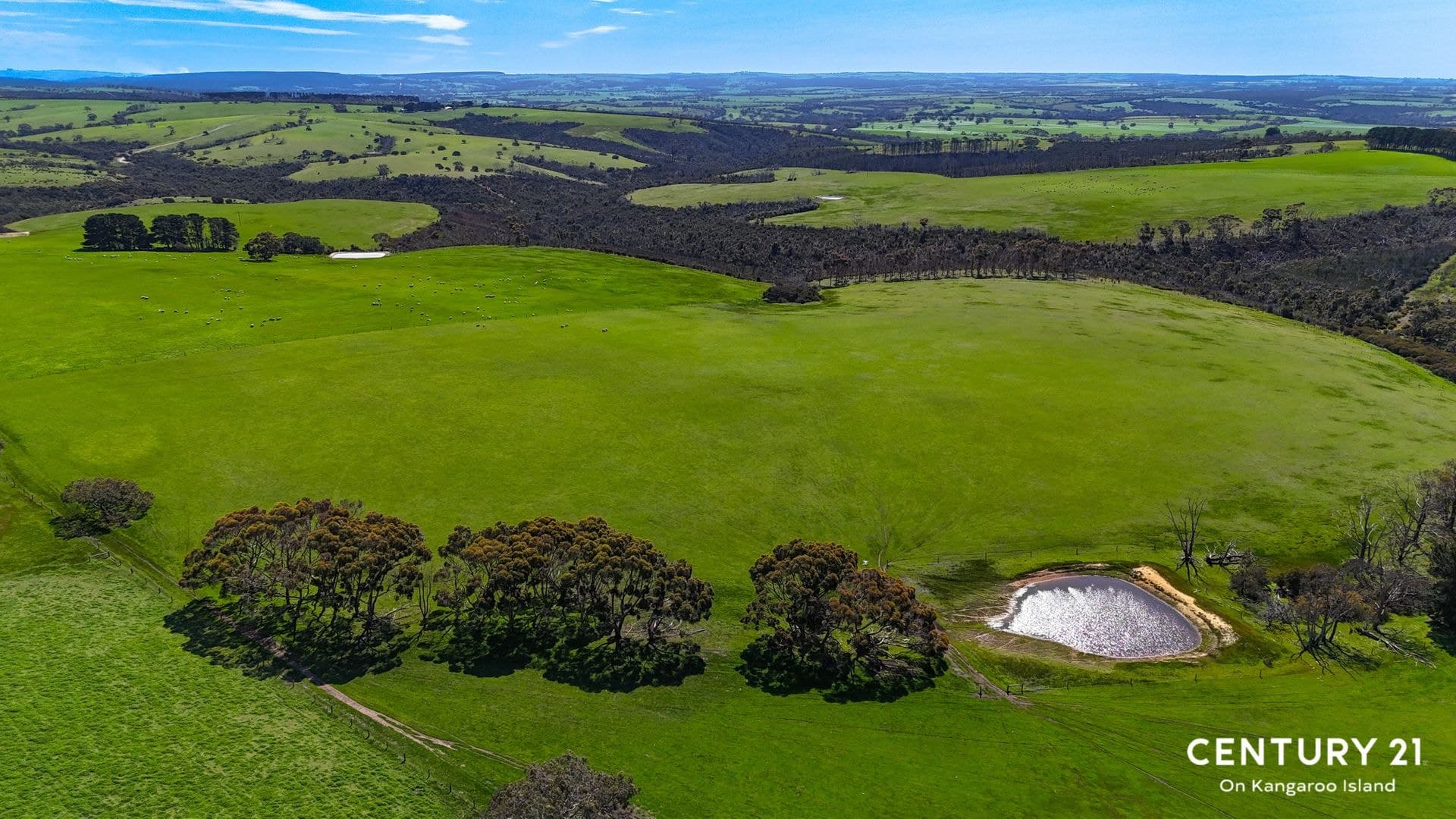 2265 Playford Highway, Kohinoor, SA, 5223, Kohinoor - Thumbnail 7