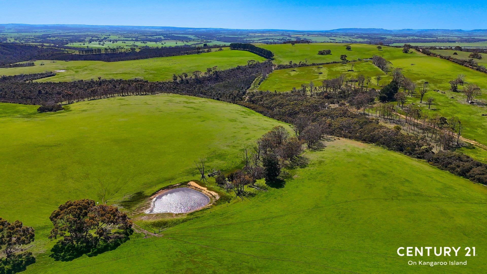 2265 Playford Highway, Kohinoor, SA, 5223, Kohinoor - Thumbnail 8