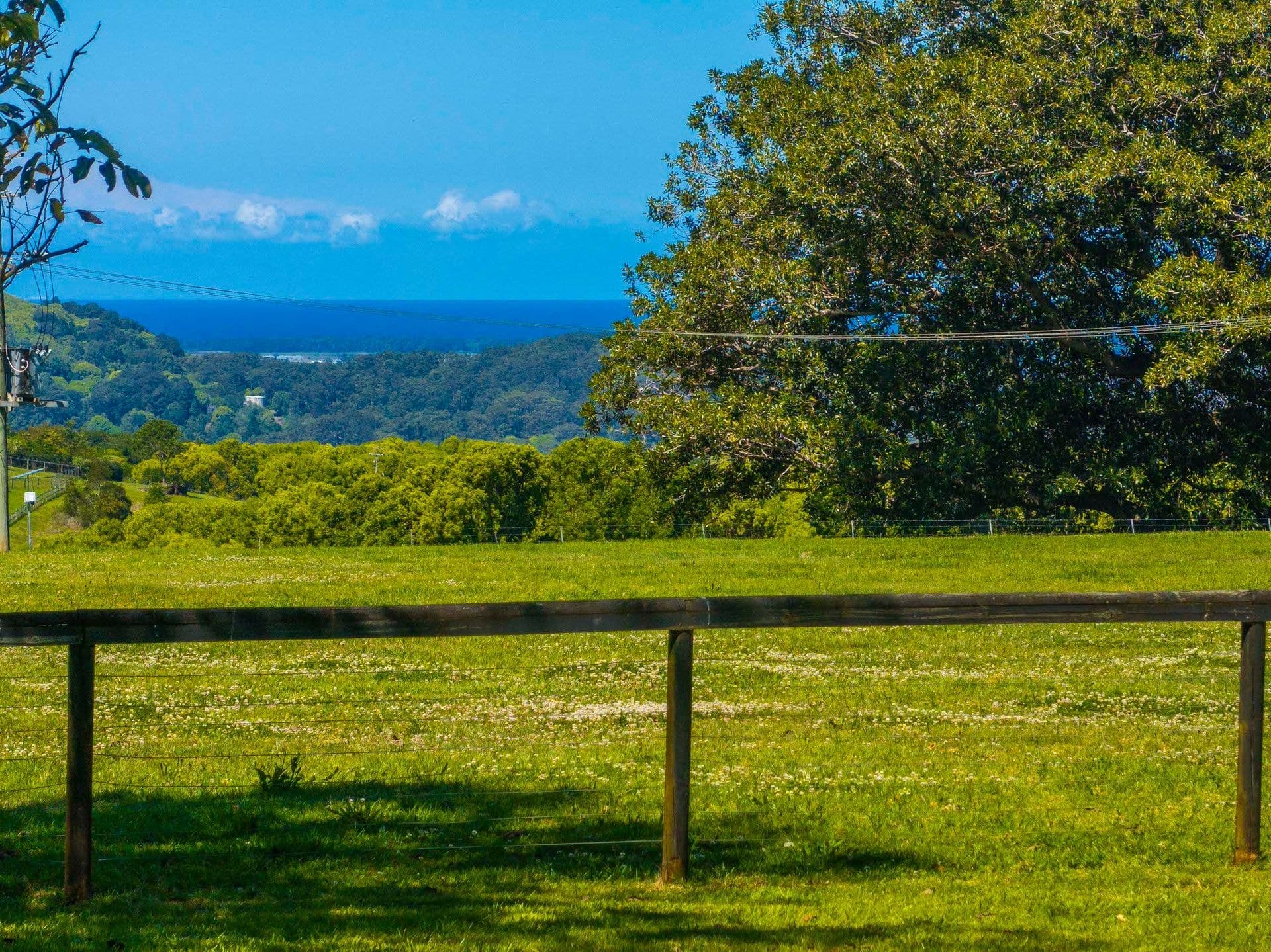 181 Cooks Lane, Dalwood, NSW, 2477, Dalwood - Thumbnail 2