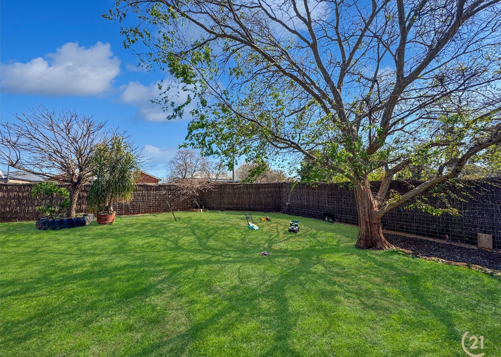 221 Farnell Street, Forbes - Thumbnail 4