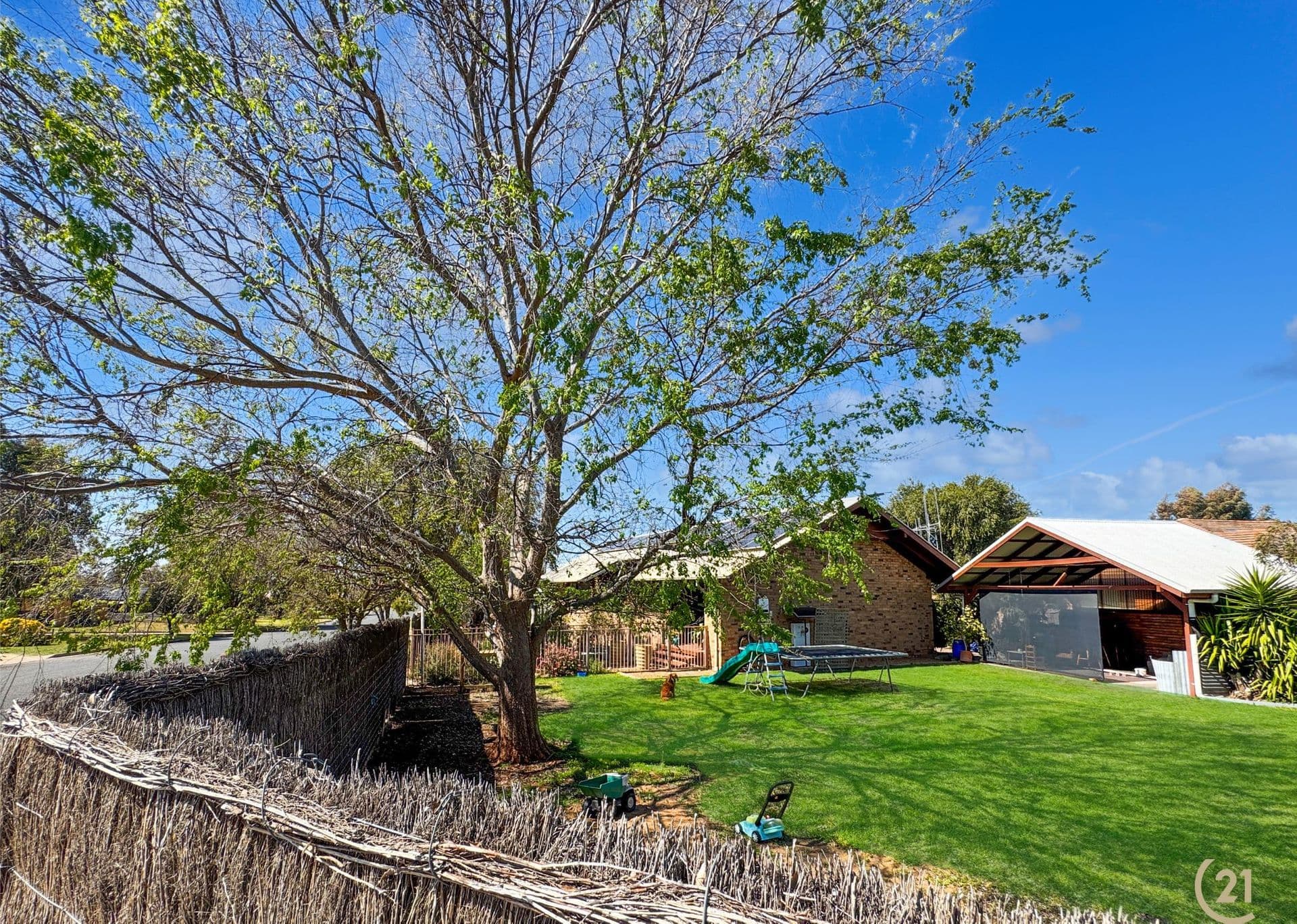 221 Farnell Street, Forbes - Thumbnail 5