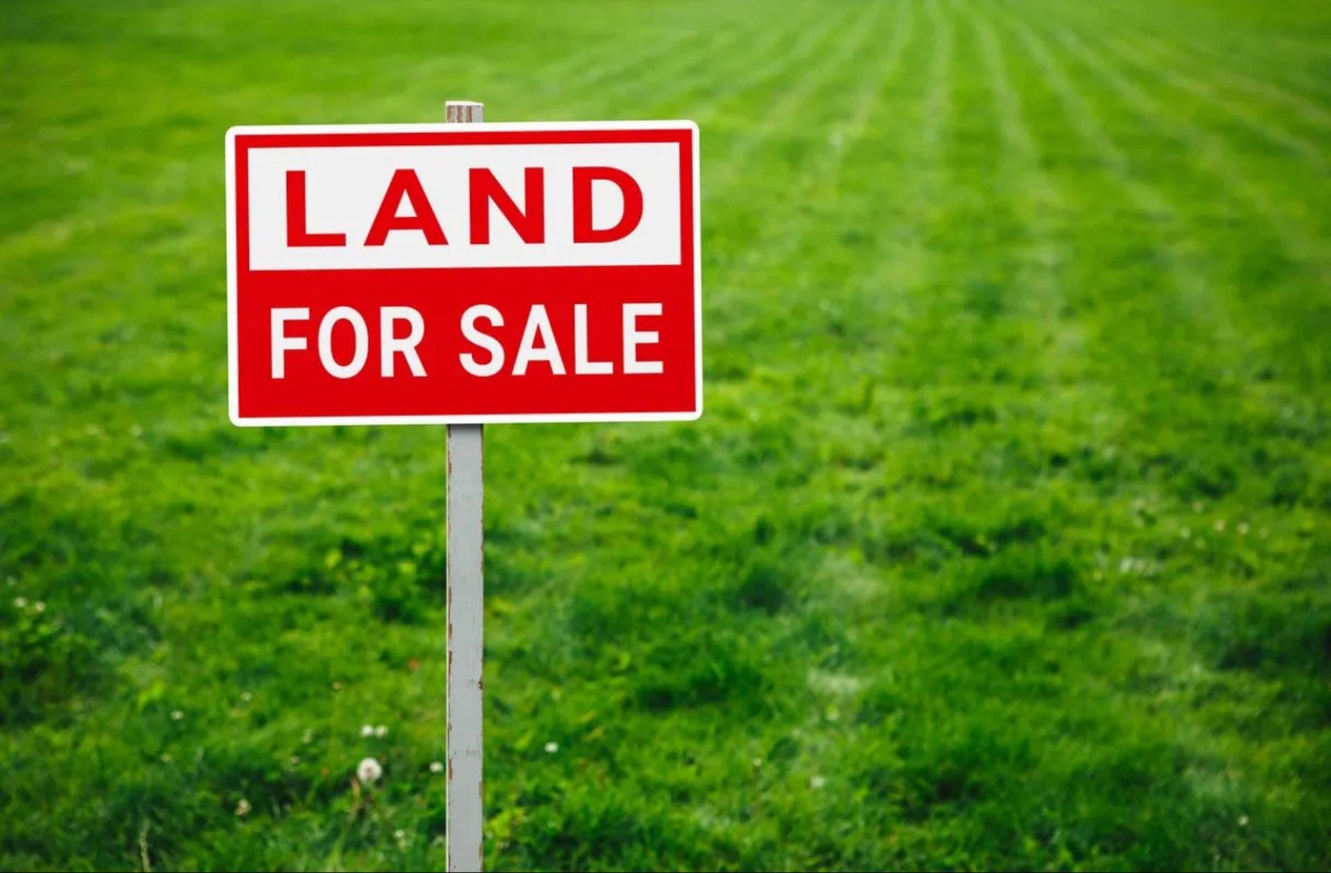 Lot 19 Malmsbury Street, Grantham Farm, NSW, 2765, Grantham Farm - Thumbnail 2