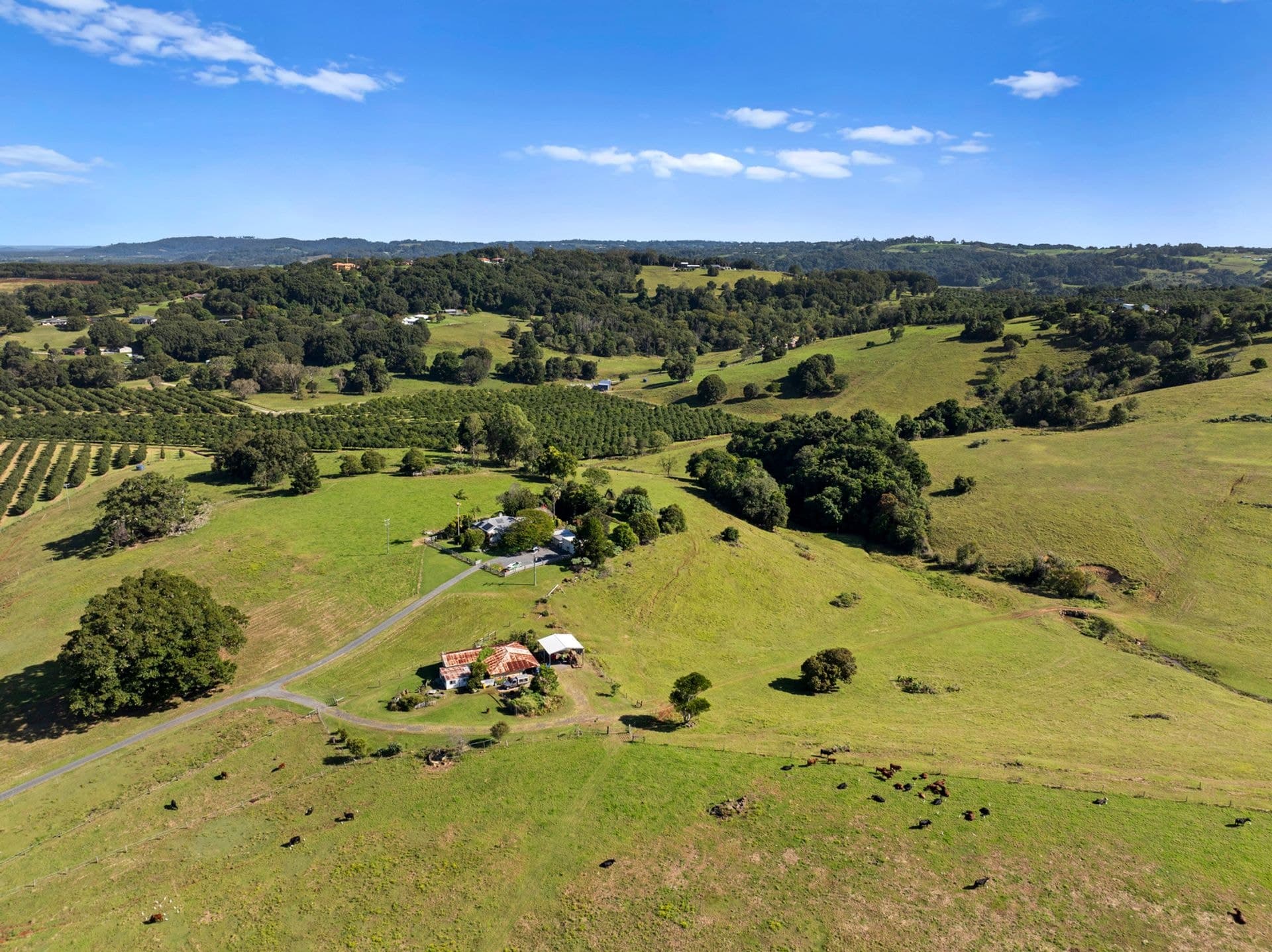101 Cumbalum Road, Cumbalum, NSW, 2478, Cumbalum - Thumbnail 5