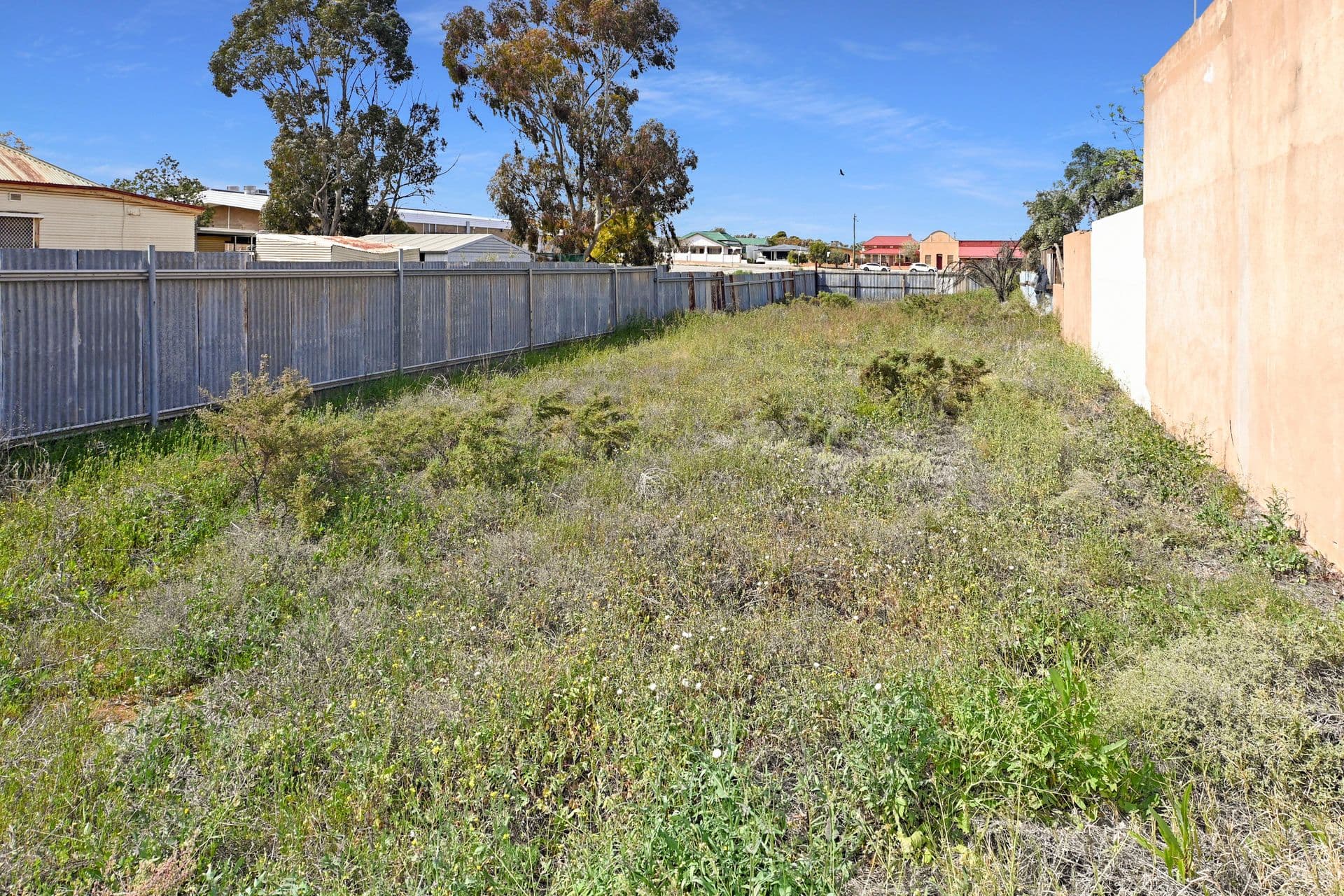 217 Hebbard Street, Broken Hill, NSW, 2880, Broken Hill - Thumbnail 2