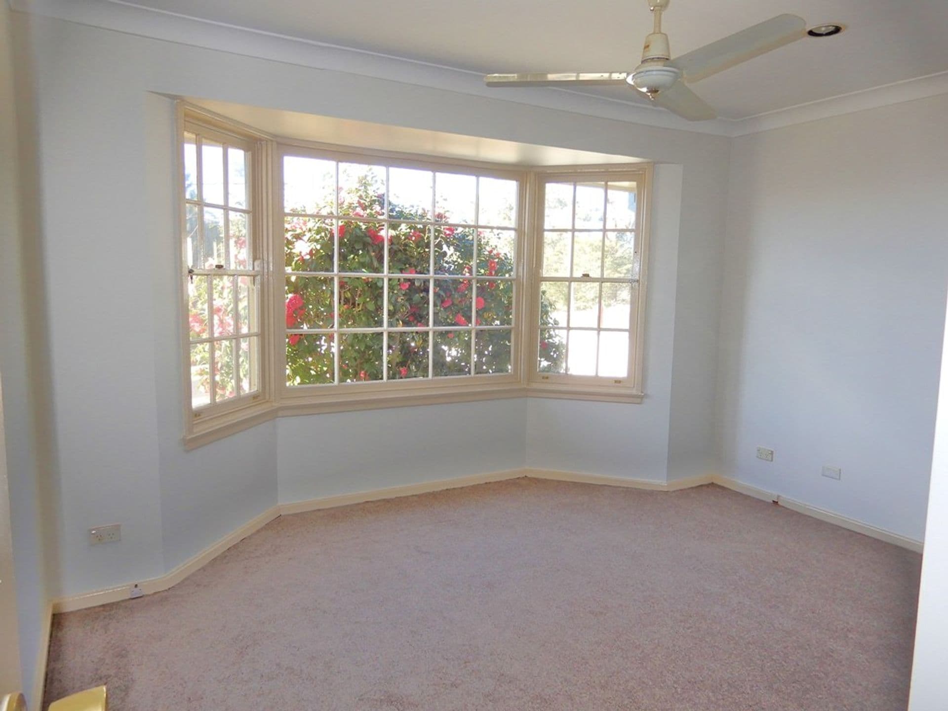 11 Hazelbrook Parade, Hazelbrook, NSW, 2779, Hazelbrook - Thumbnail 6