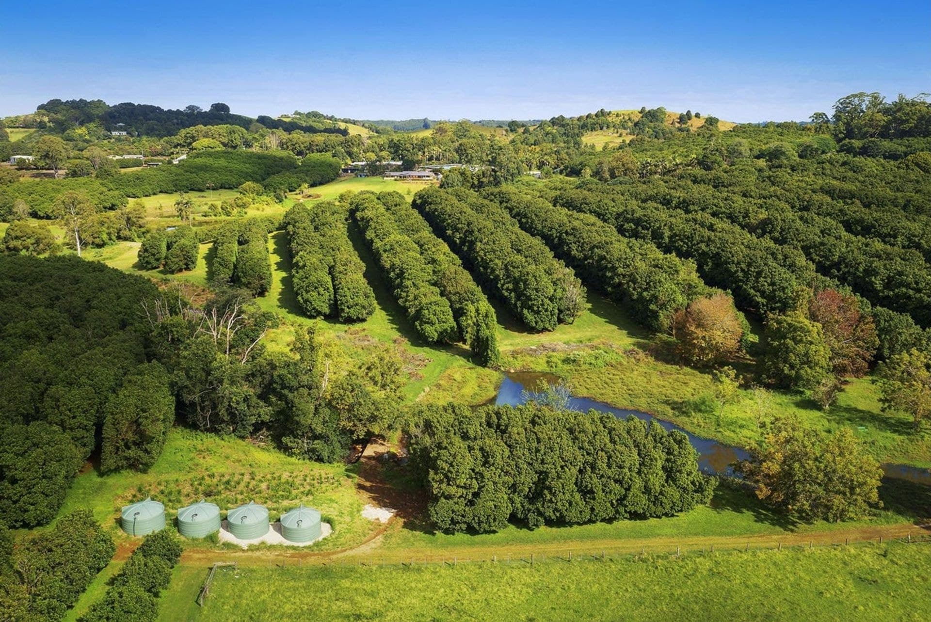 10 Kirklands Lane, Fernleigh, NSW, 2479, Fernleigh - Thumbnail 3