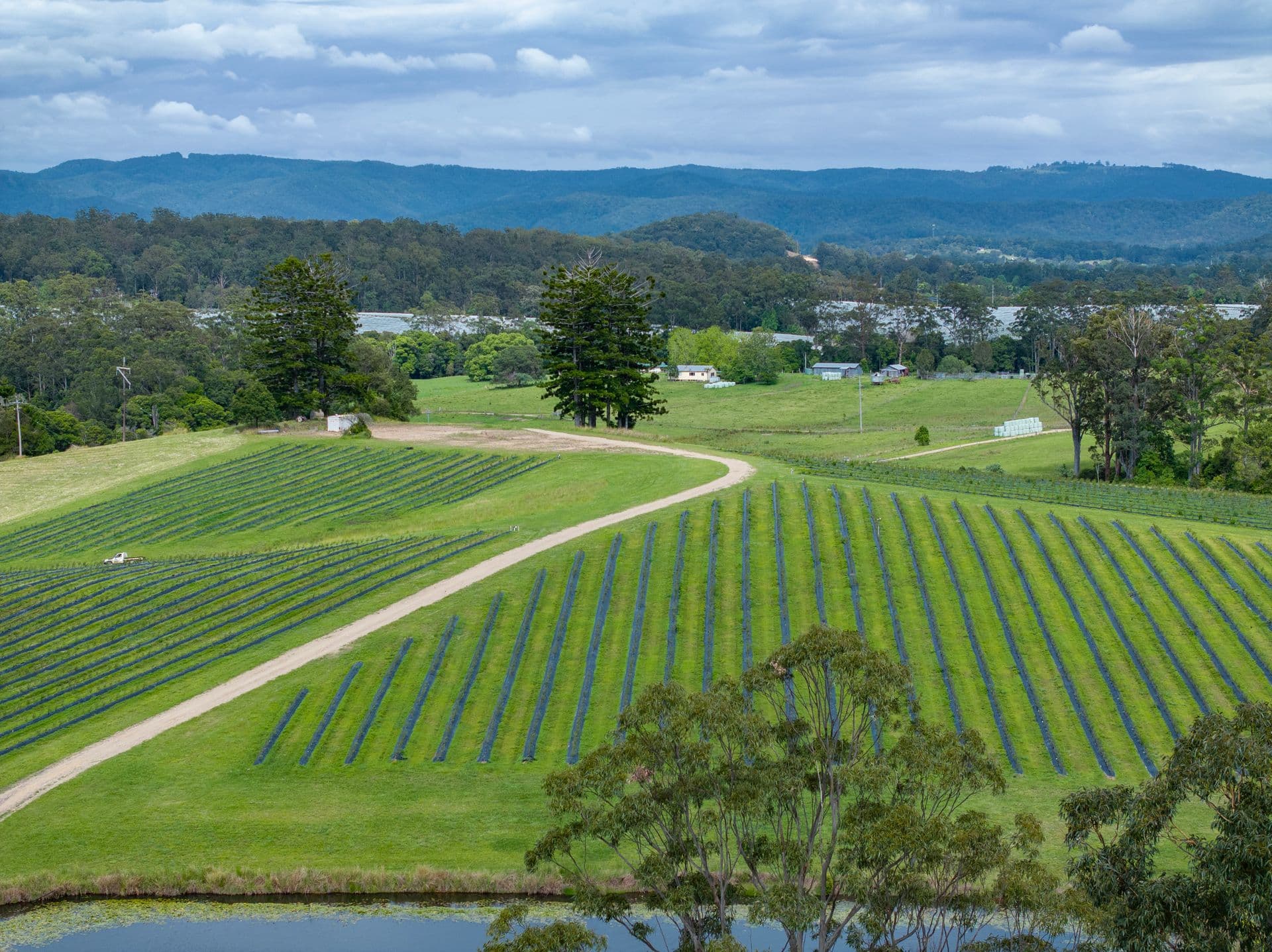 40B Hallgaths Road, Coffs Harbour, NSW, 2450, Coffs Harbour - Thumbnail 3