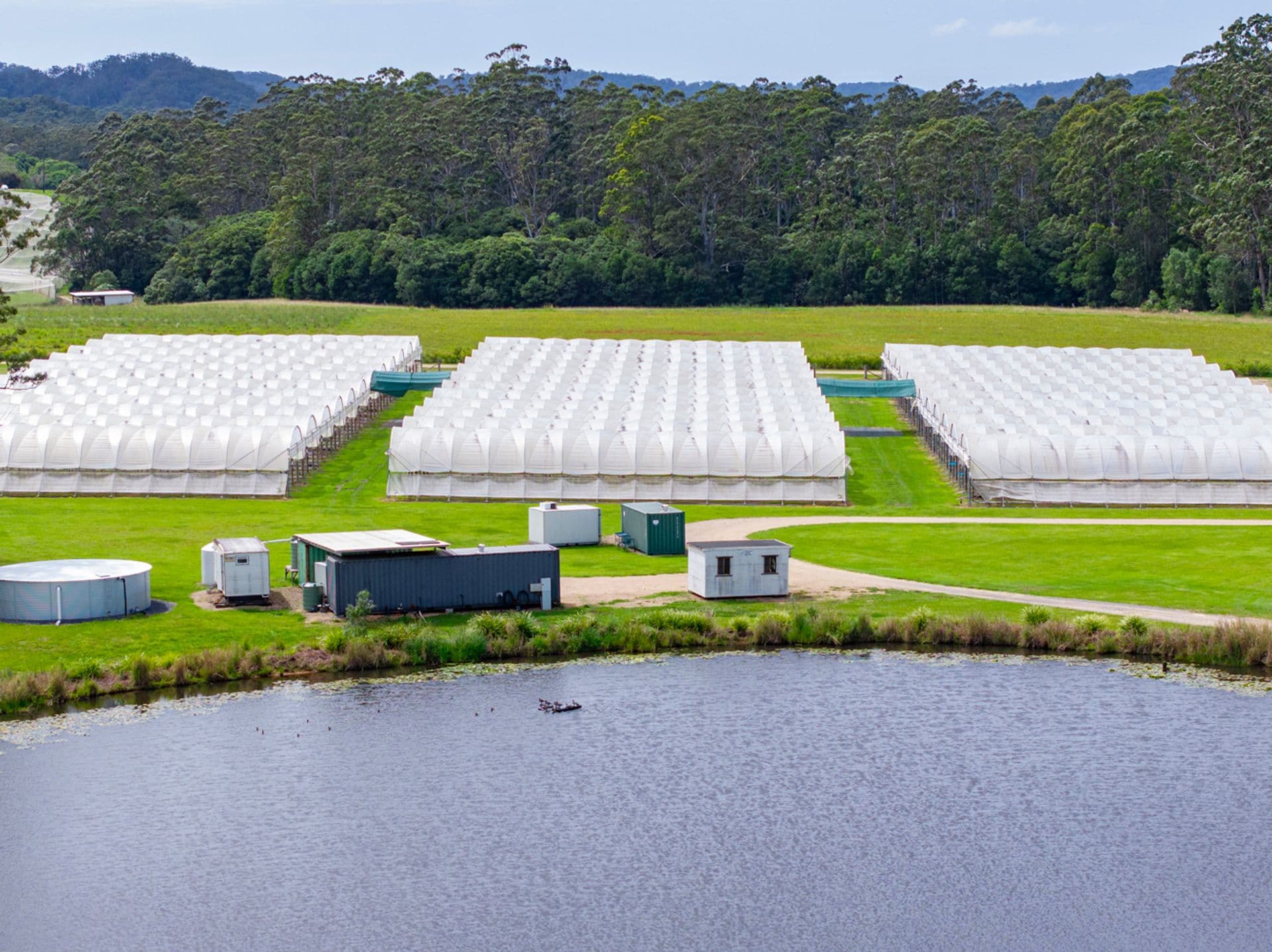 40B Hallgaths Road, Coffs Harbour, NSW, 2450, Coffs Harbour - Thumbnail 5