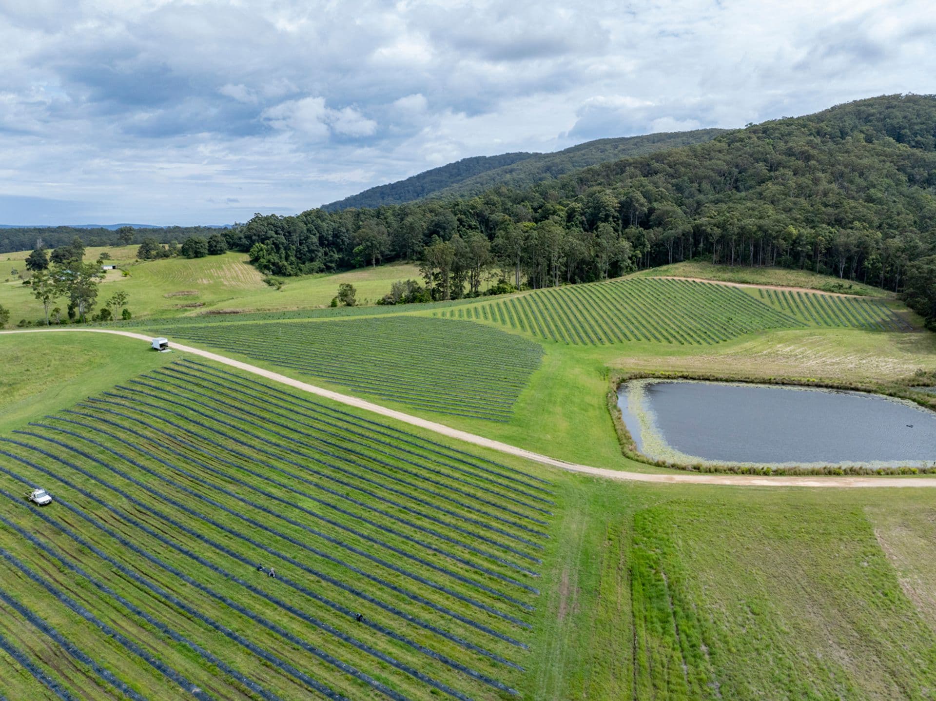 40B Hallgaths Road, Coffs Harbour, NSW, 2450, Coffs Harbour - Thumbnail 6