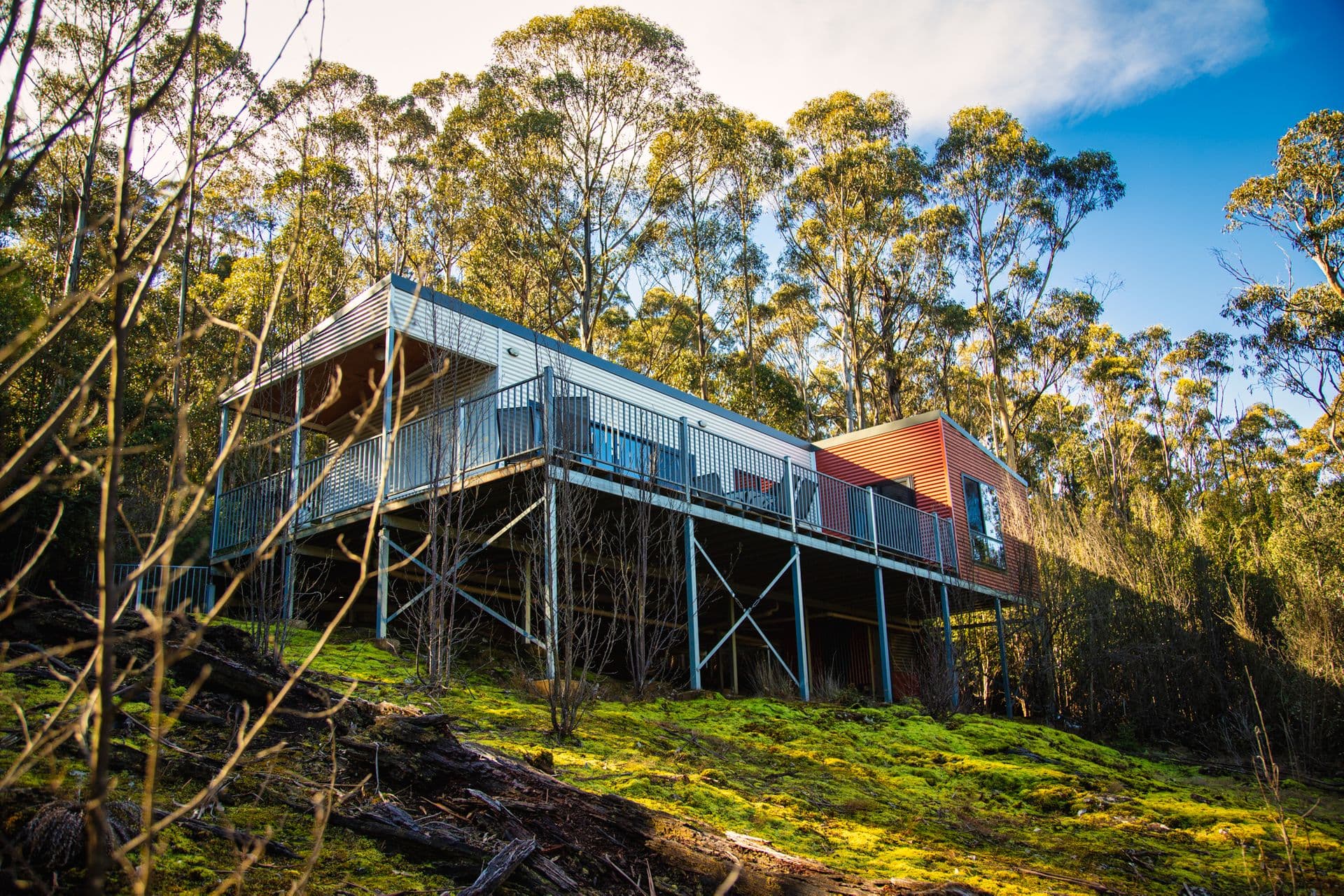 300 Browns Road, Ranelagh, TAS, 7109, Ranelagh - Thumbnail 6