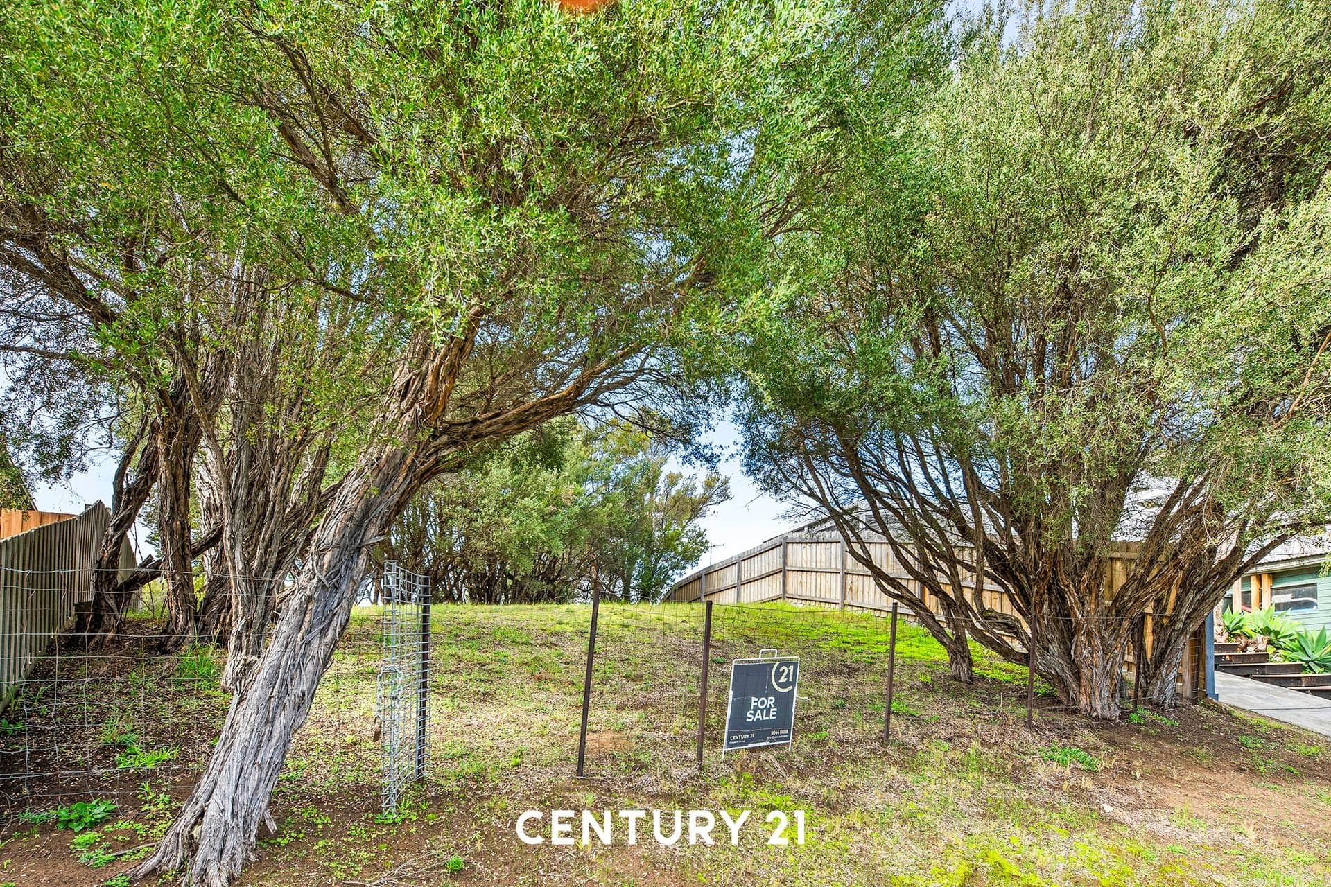 33 Curran Way, Tootgarook, VIC, 3941, Tootgarook - Thumbnail 2