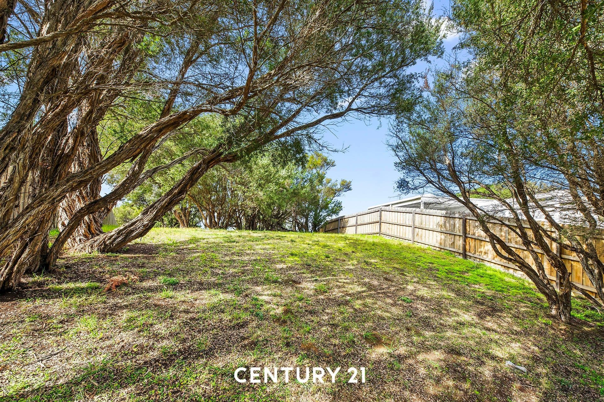 33 Curran Way, Tootgarook, VIC, 3941, Tootgarook - Thumbnail 3