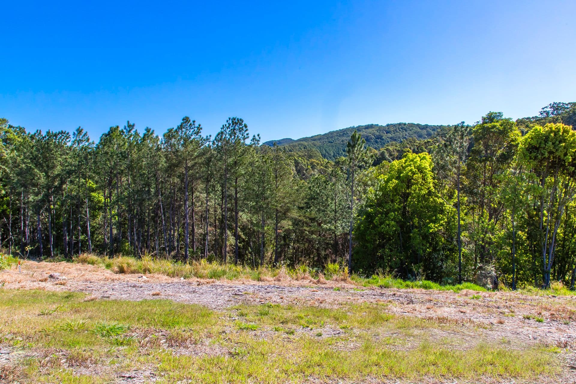 Lot 5 - 8 Powers Court, Eumundi, QLD, 4562, Eumundi - Image 1