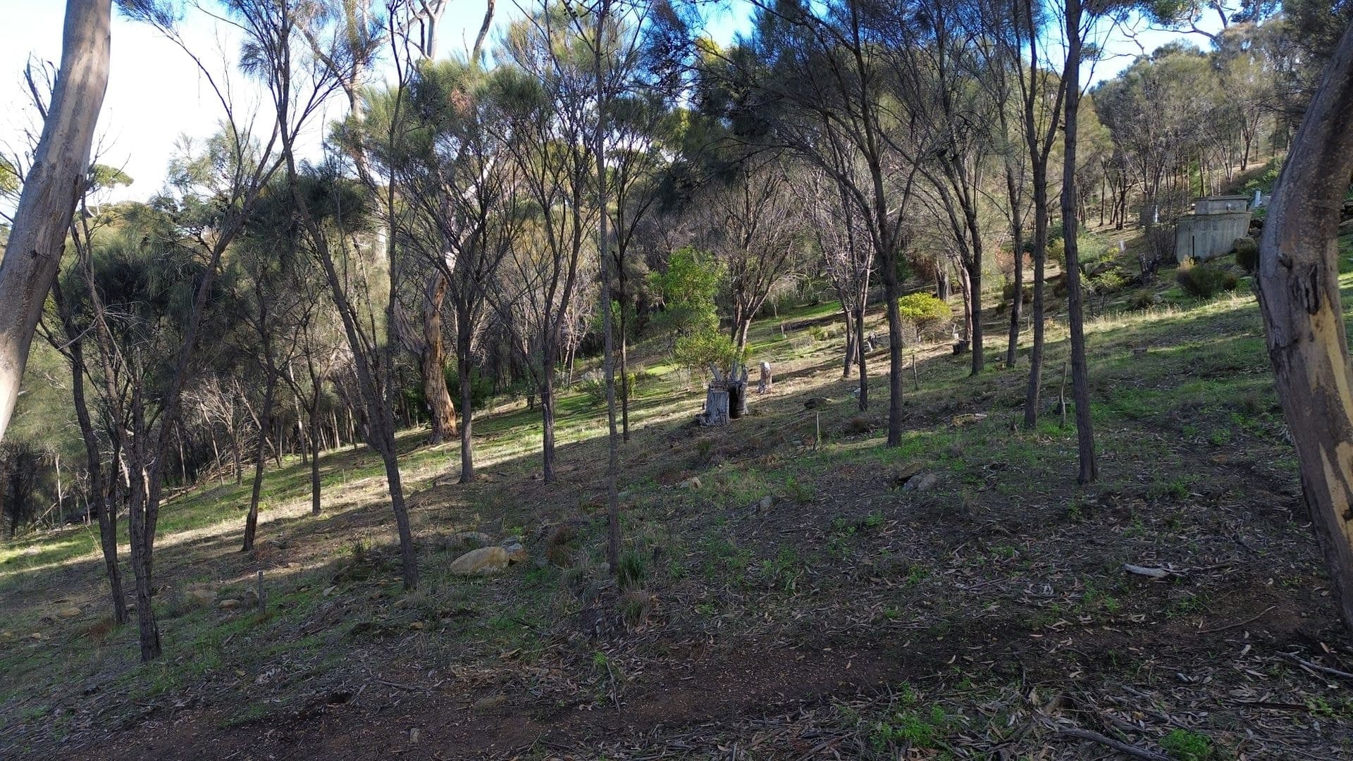 49-51 Falie Court, American River, SA, 5221, American River - Thumbnail 6