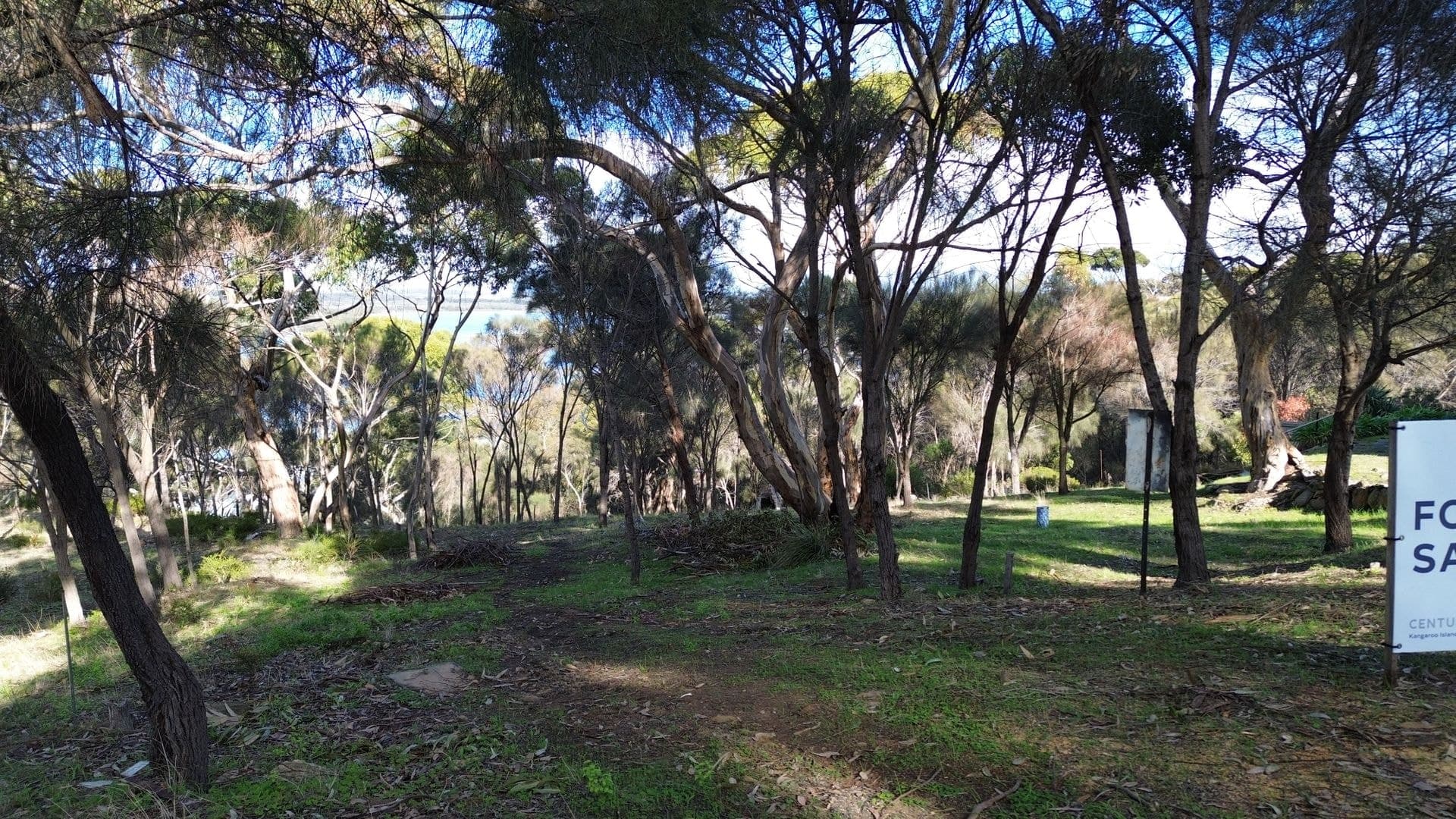 49-51 Falie Court, American River, SA, 5221, American River - Thumbnail 8