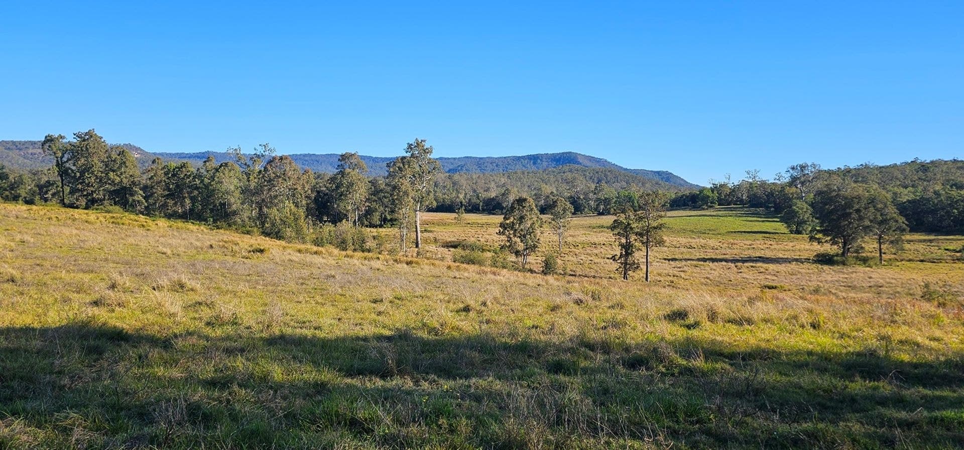 2400 Busbys Flat Road, Busbys Flat, NSW, 2469, Busbys Flat - Thumbnail 3