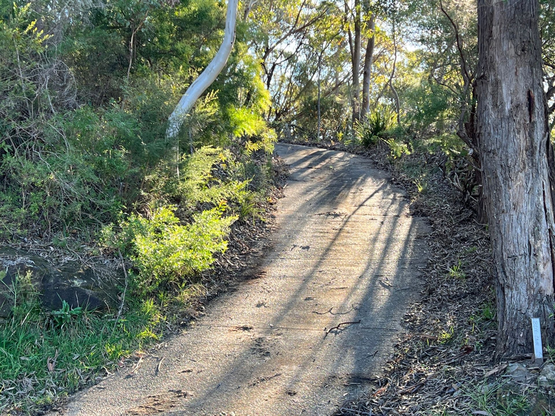 14 Hovea Place, Woodford, NSW, 2778, Woodford - Thumbnail 3