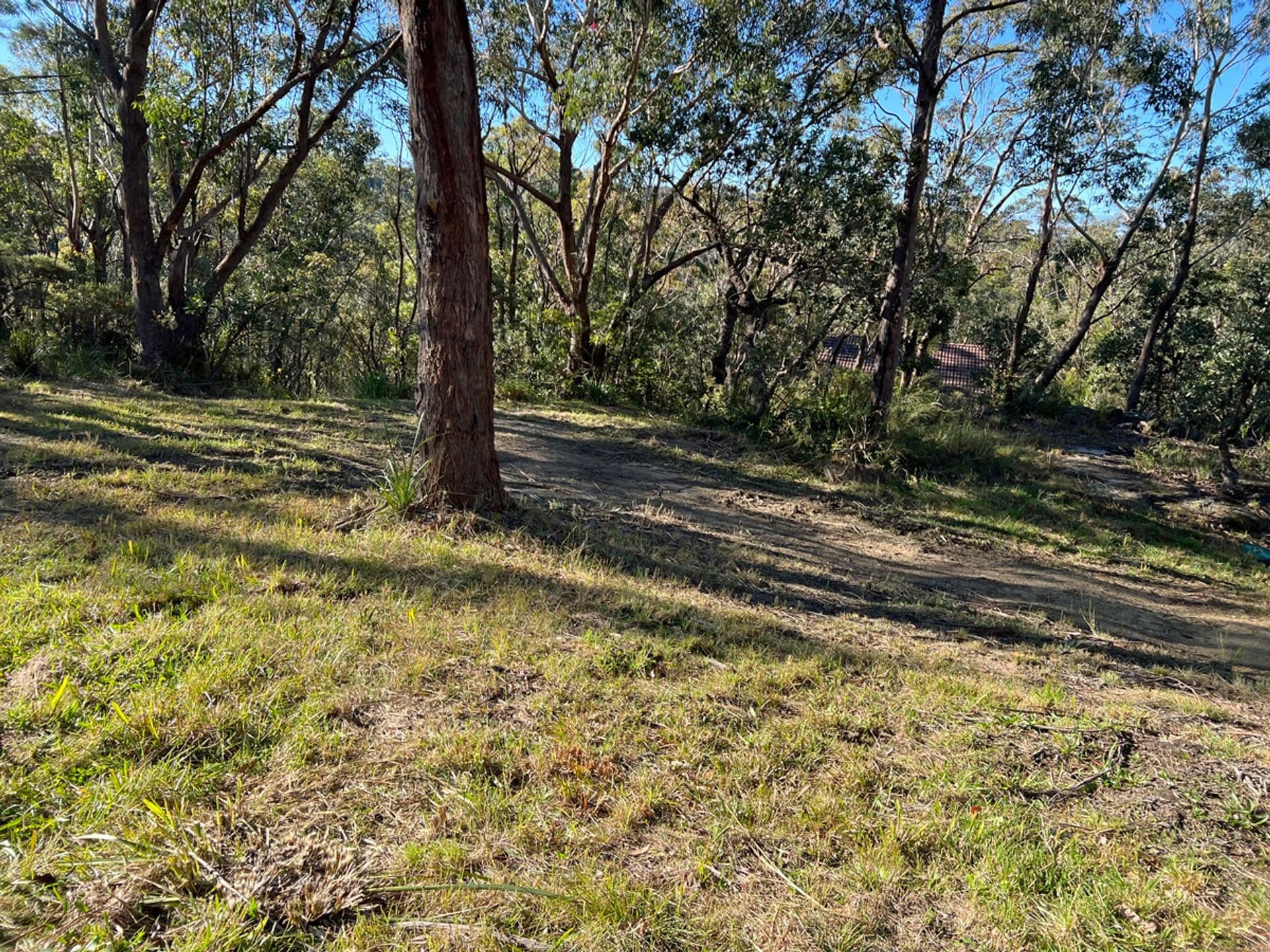 14 Hovea Place, Woodford, NSW, 2778, Woodford - Thumbnail 4