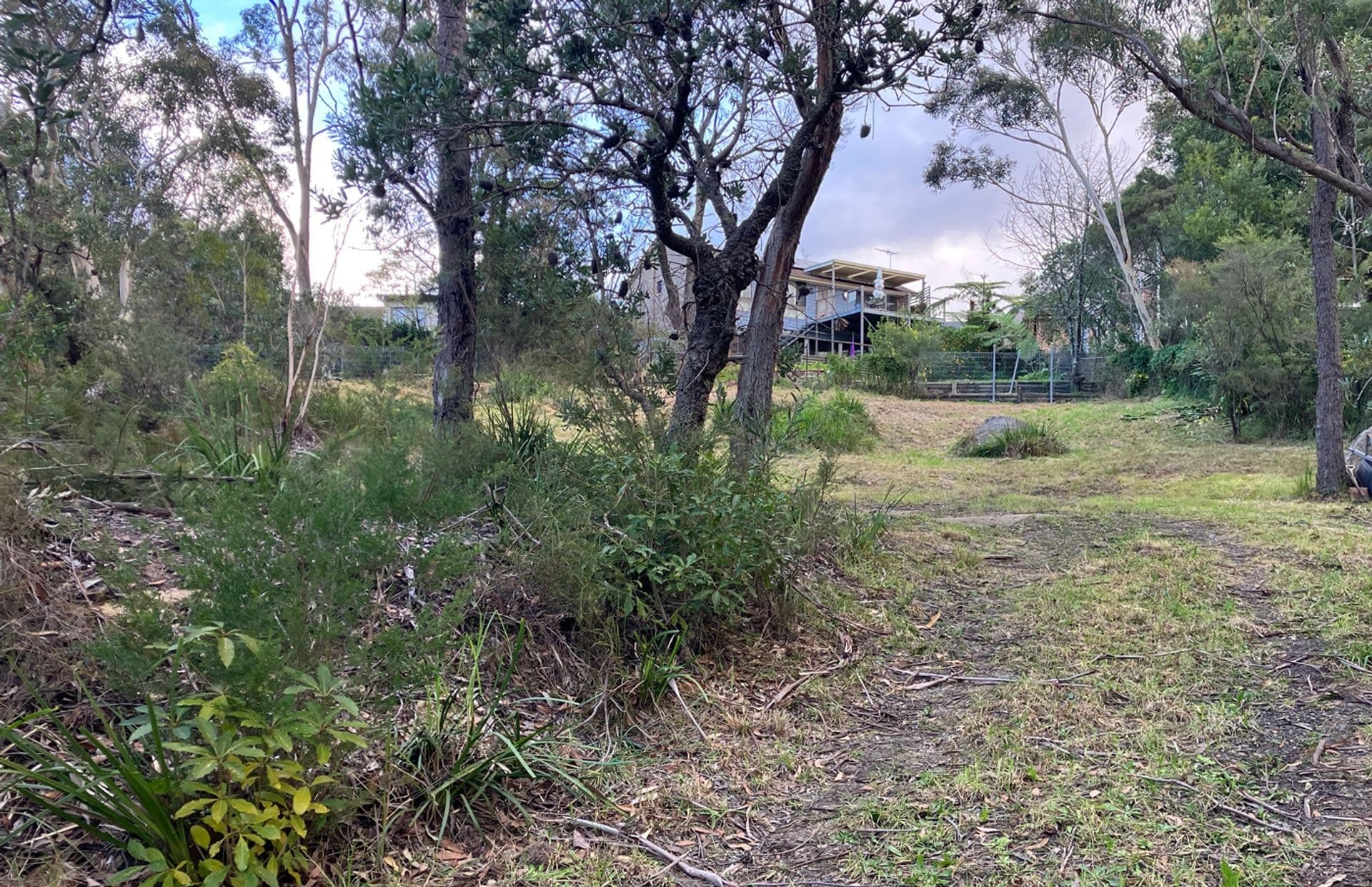 14 Hovea Place, Woodford, NSW, 2778, Woodford - Thumbnail 5