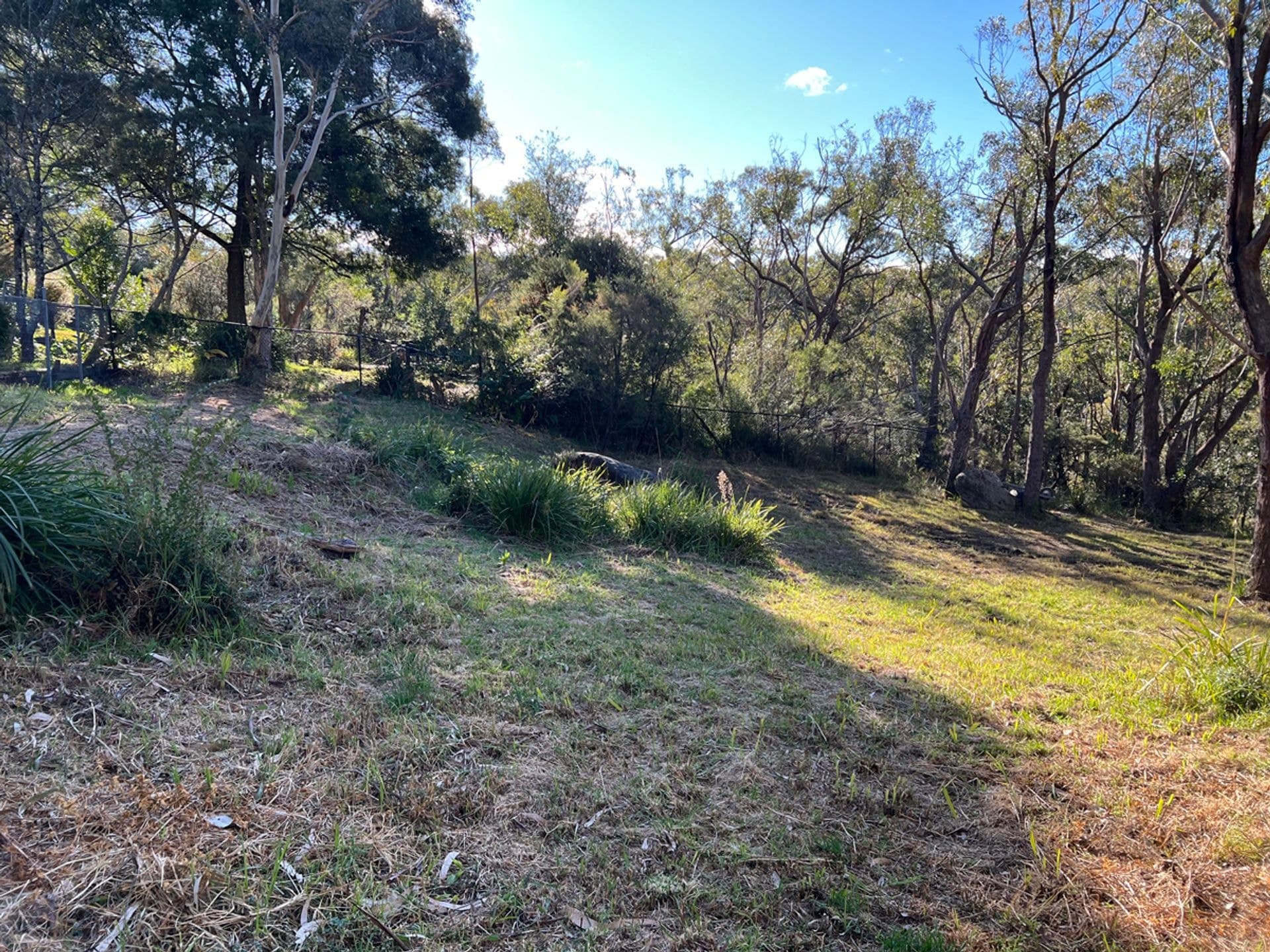 14 Hovea Place, Woodford, NSW, 2778, Woodford - Thumbnail 6