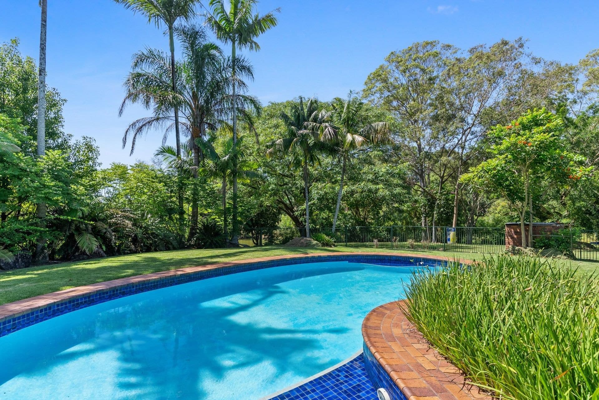 81 Shaws Lane, Tuckombil, NSW, 2477, Tuckombil - Thumbnail 3