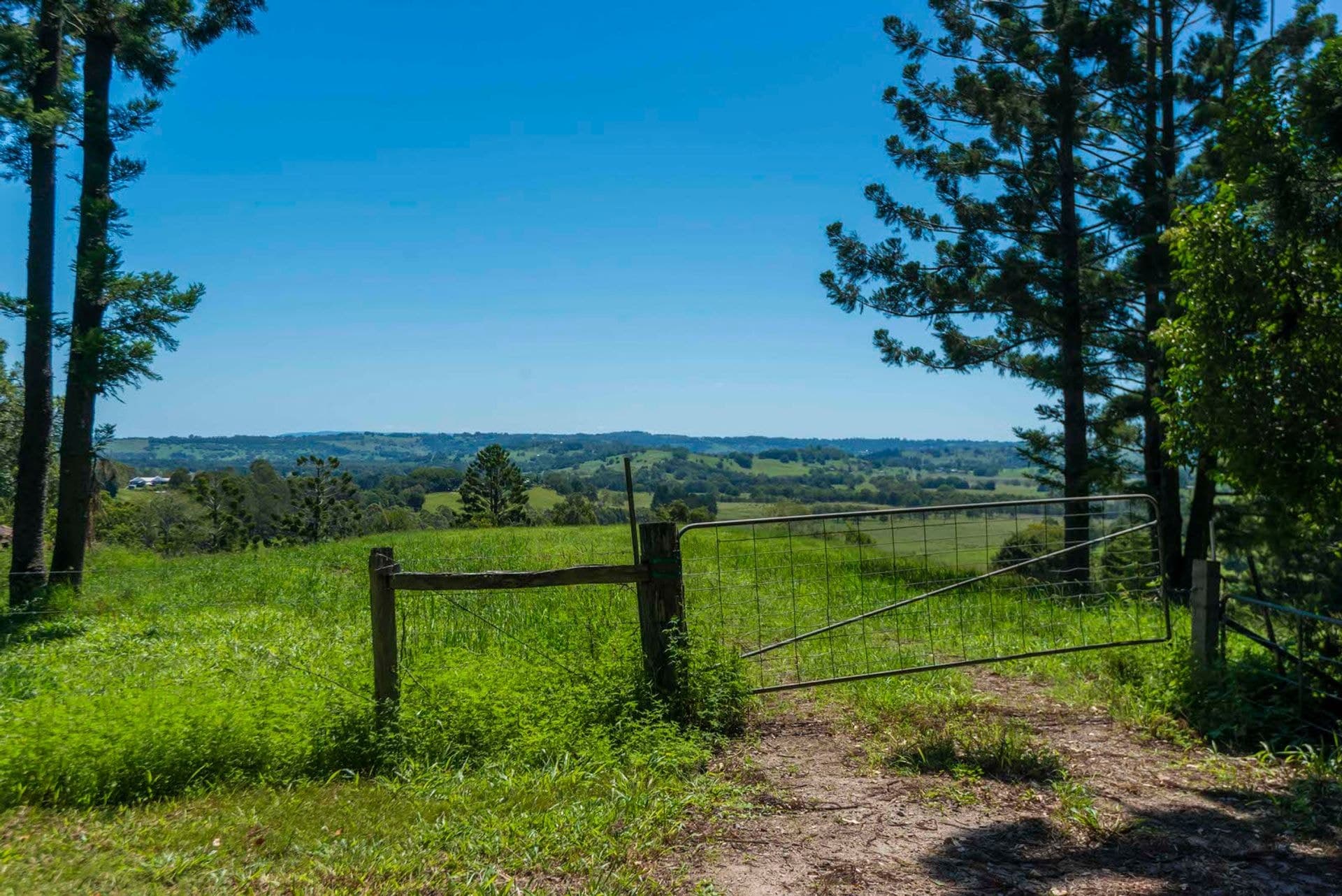 Address Withheld, McLeans Ridges, NSW, 2480, McLeans Ridges - Thumbnail 2