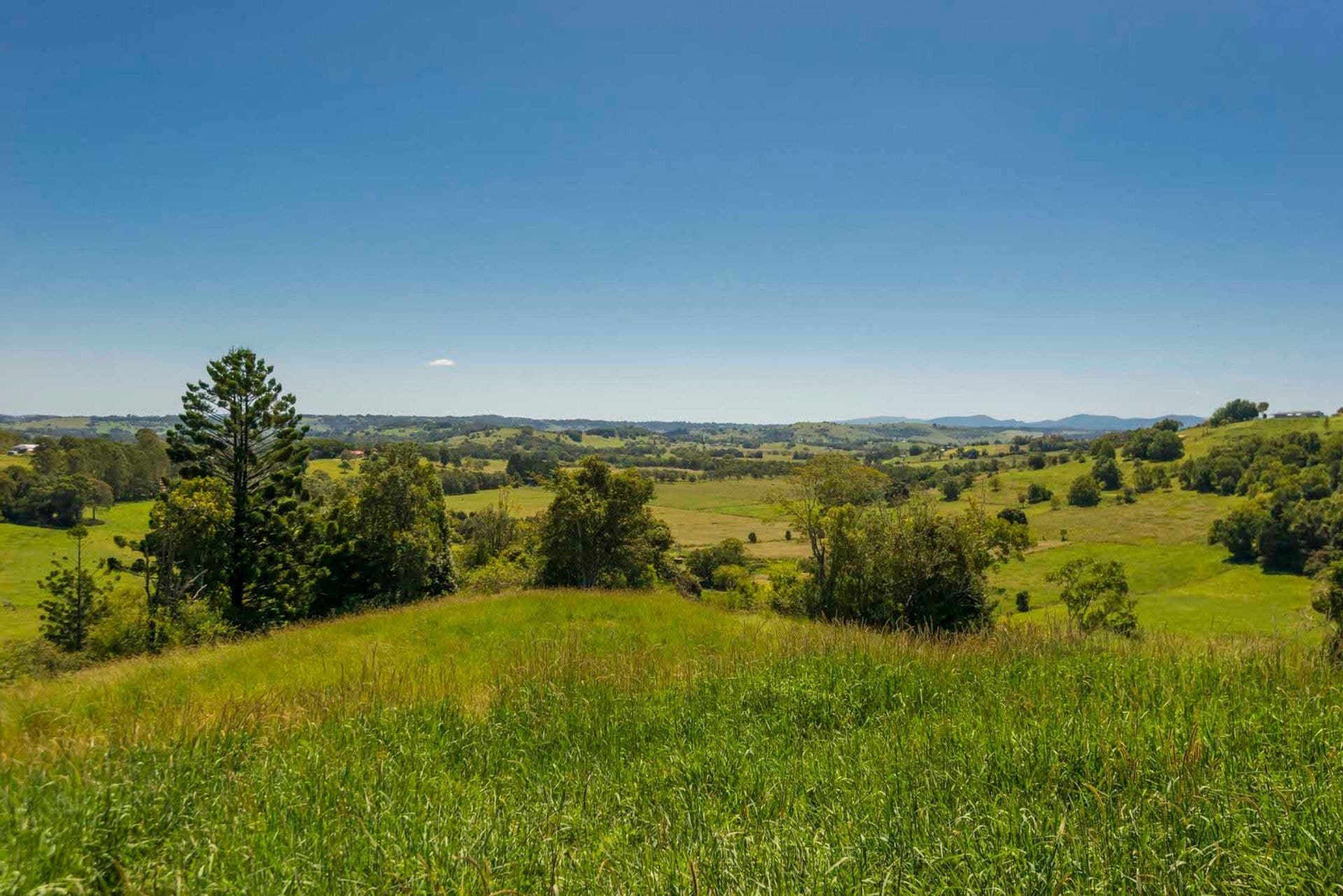 Address Withheld, McLeans Ridges, NSW, 2480, McLeans Ridges - Thumbnail 3