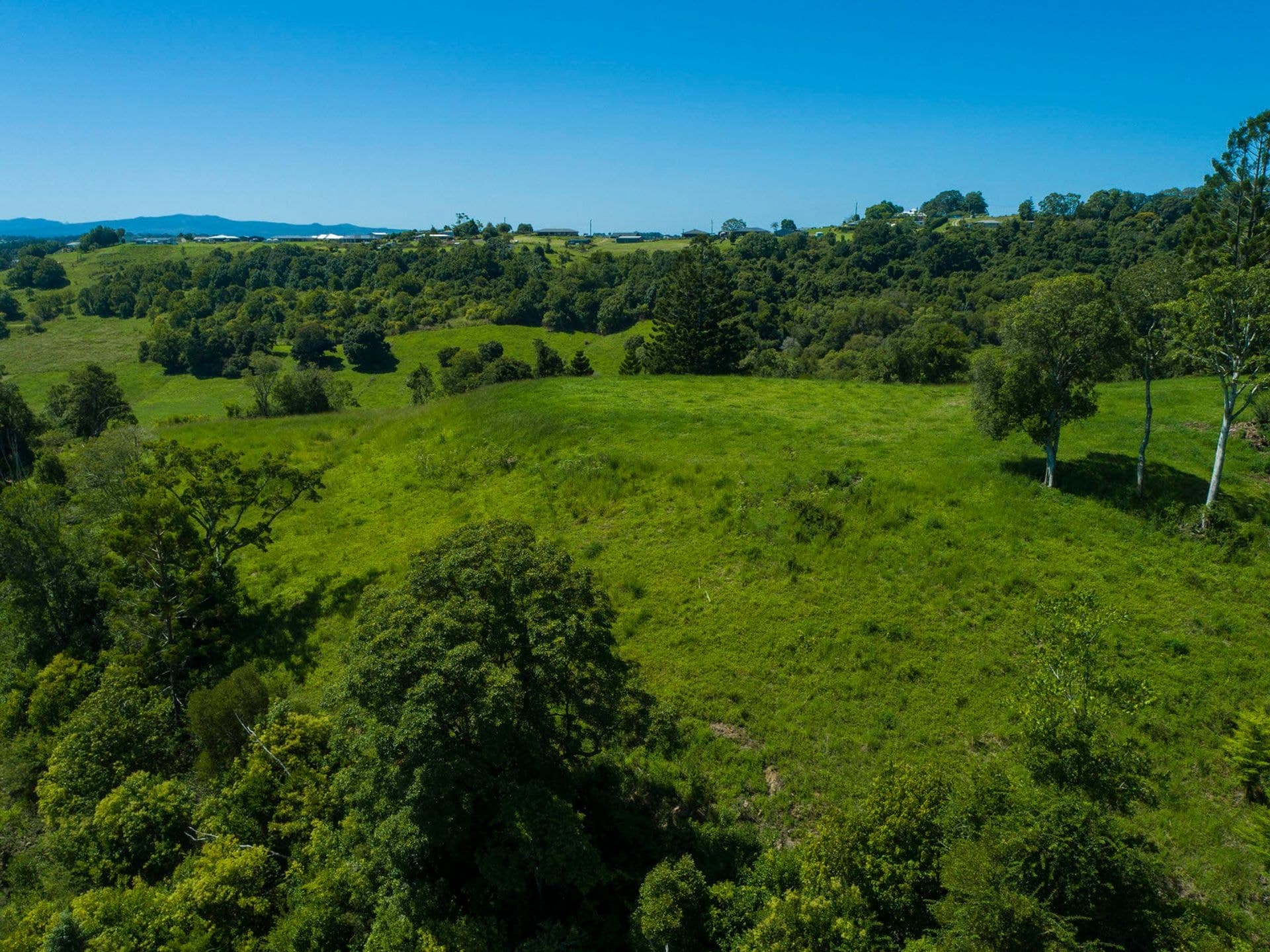 Address Withheld, McLeans Ridges, NSW, 2480, McLeans Ridges - Thumbnail 7