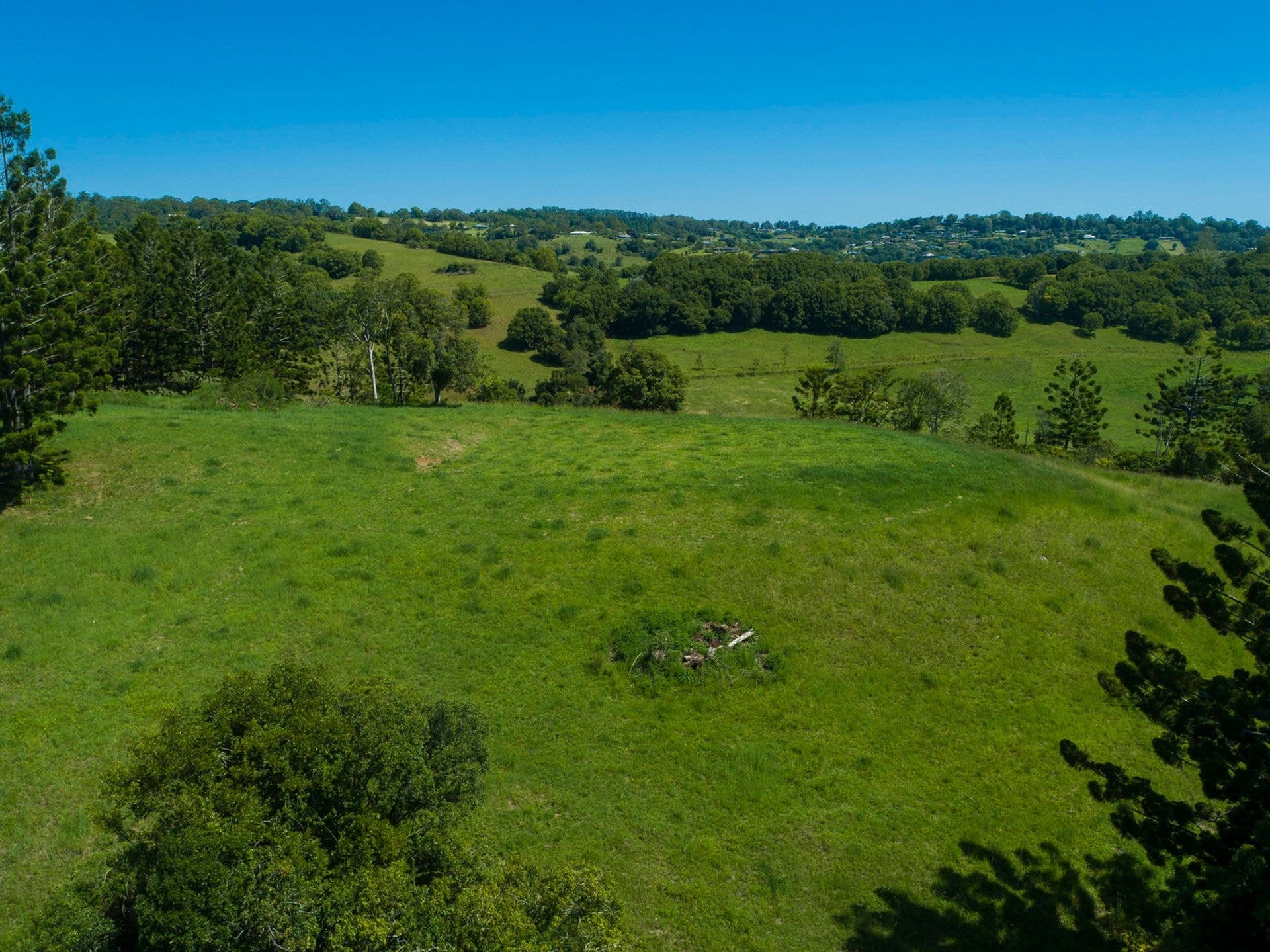 Address Withheld, McLeans Ridges, NSW, 2480, McLeans Ridges - Thumbnail 8