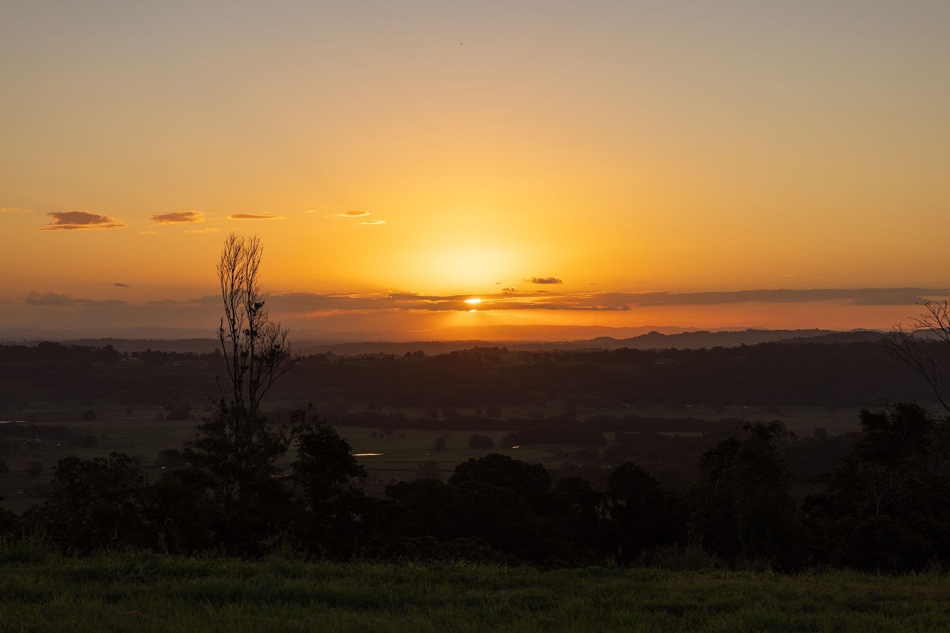 Address Withheld, Dalwood, NSW, 2477, Dalwood - Thumbnail 3