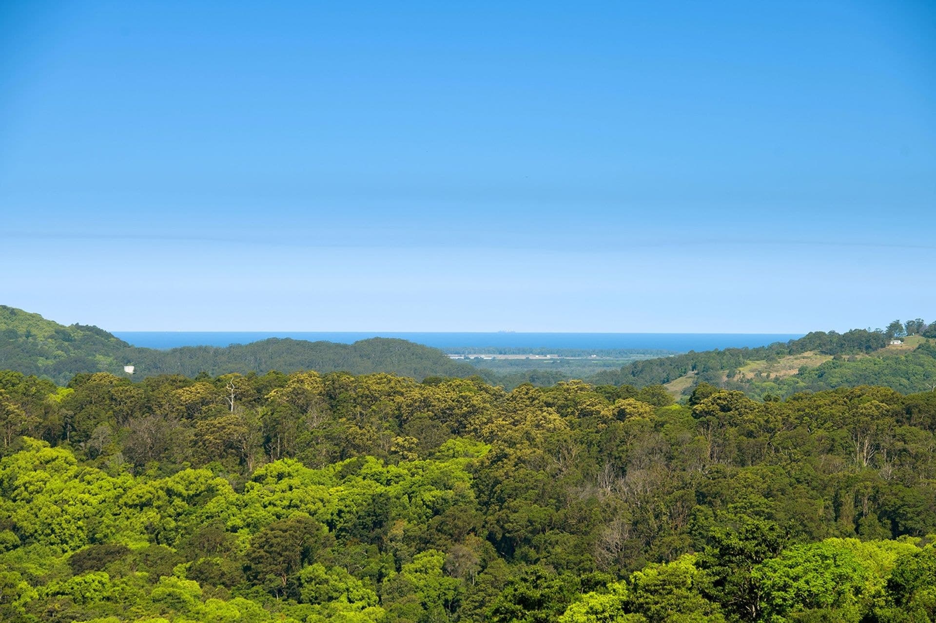 Address Withheld, Dalwood, NSW, 2477, Dalwood - Thumbnail 5