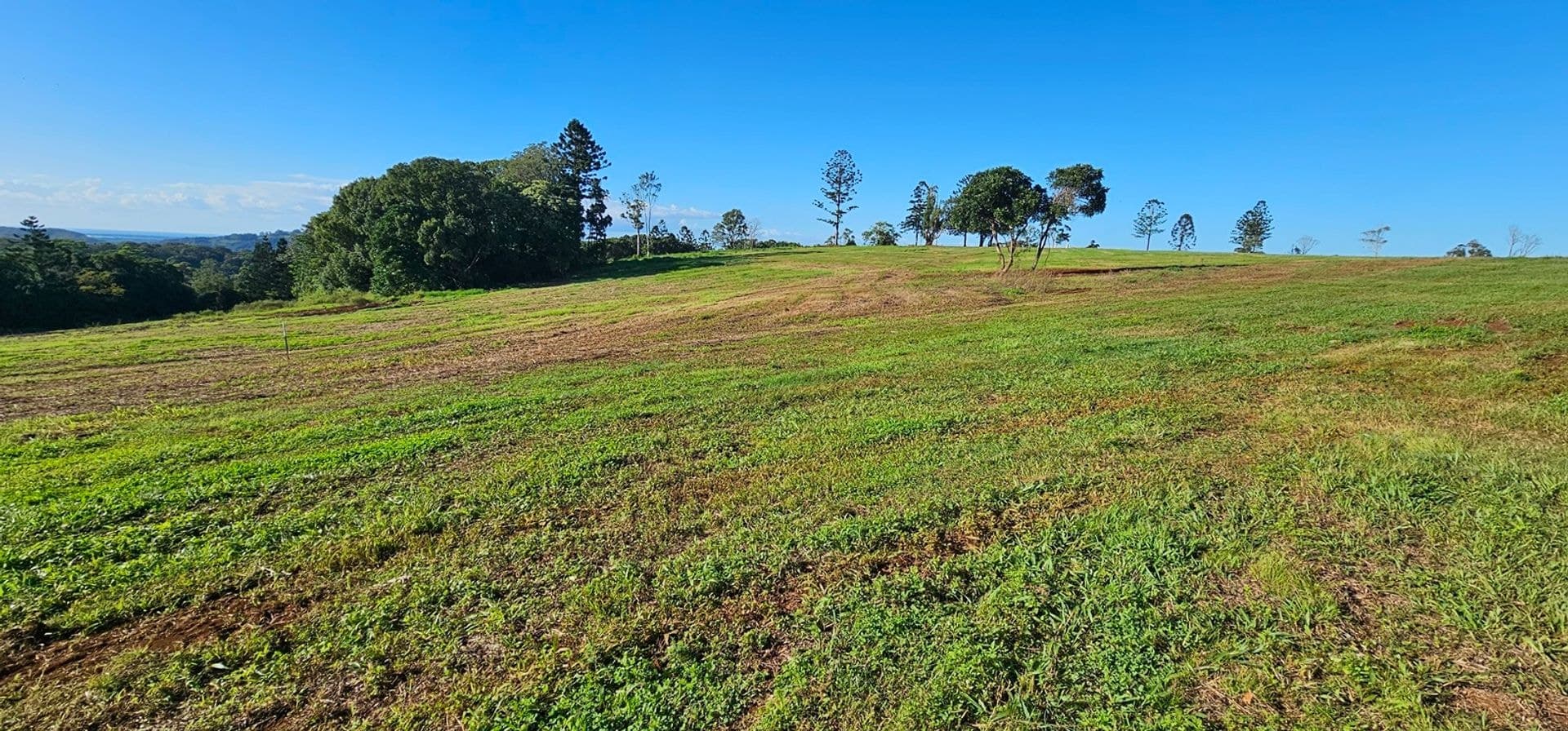 Address Withheld, Dalwood, NSW, 2477, Dalwood - Thumbnail 7