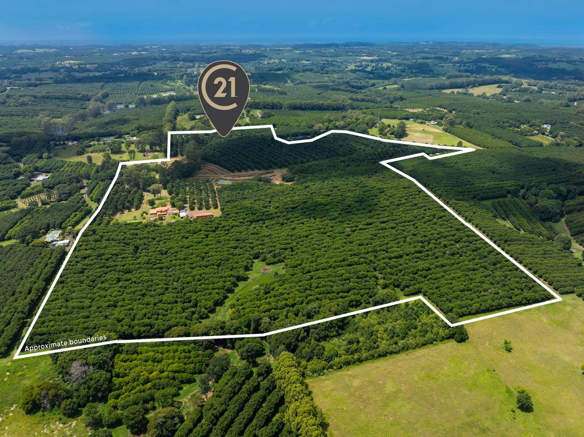 269 Alphadale Road, Lindendale, NSW, 2480, Lindendale - Thumbnail 3