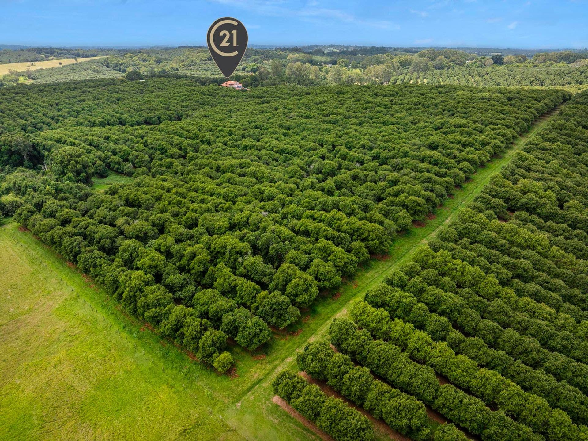 269 Alphadale Road, Lindendale, NSW, 2480, Lindendale - Thumbnail 4