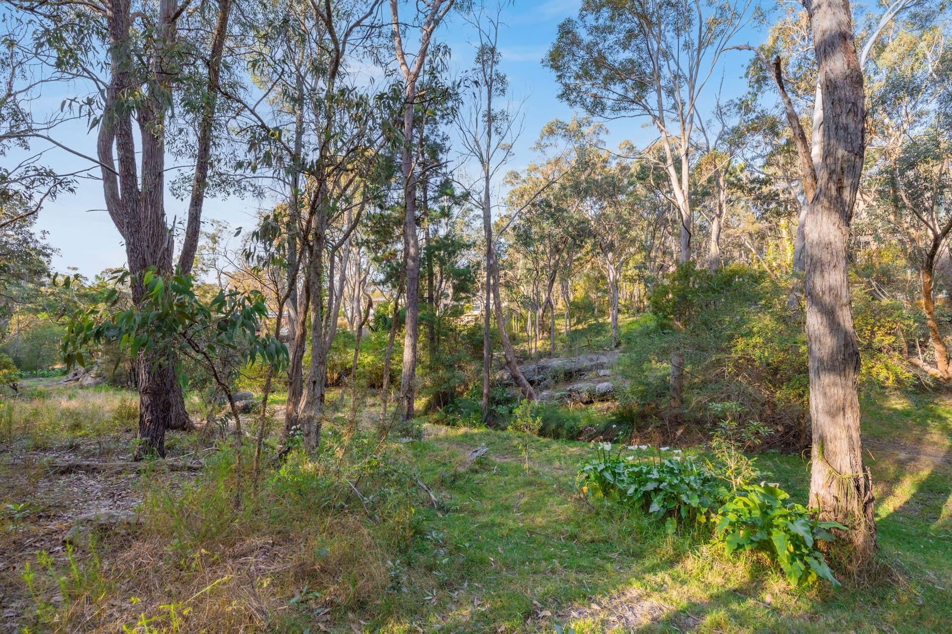 7/72-80 Argyle Street, Picton, NSW, 2571, Buxton - Thumbnail 5