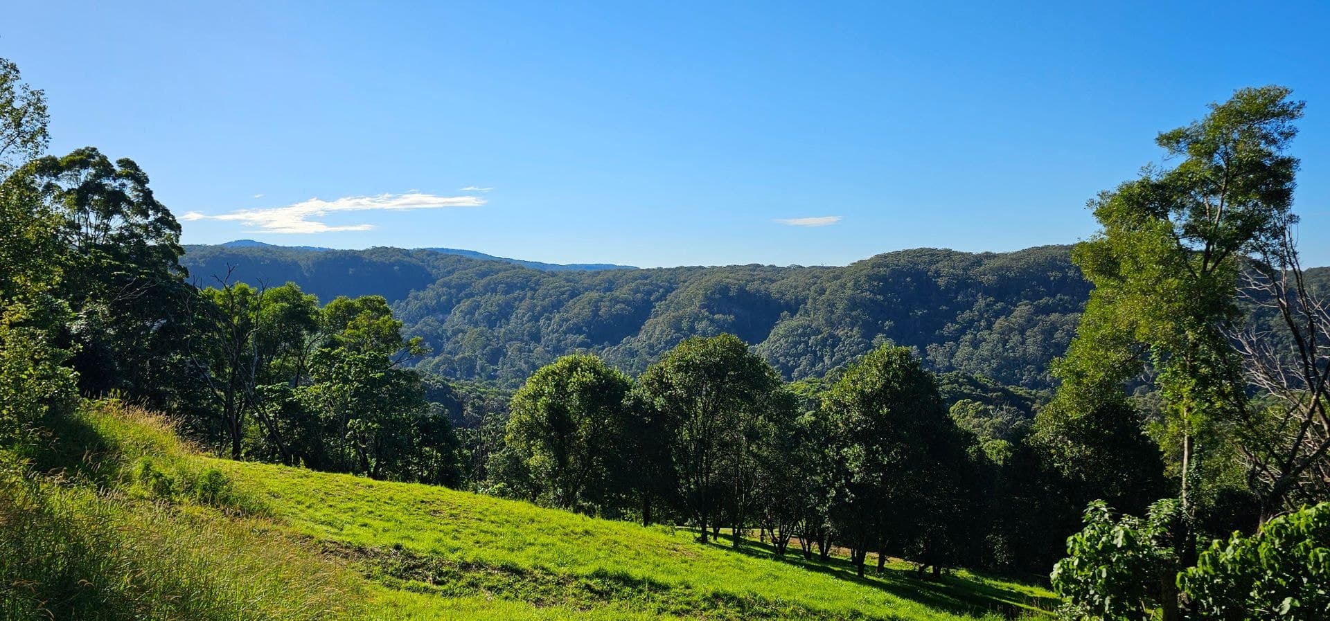 1005 Tuntable Creek Road, Tuntable Creek, NSW, 2480, Tuntable Creek - Thumbnail 2