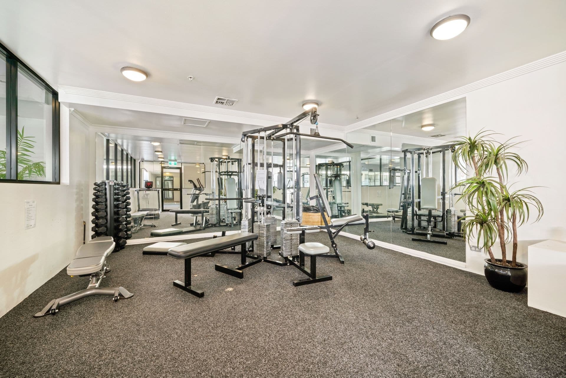 69/17 Newland Street, Bondi Junction, NSW, 2022, Bondi Junction - Thumbnail 7
